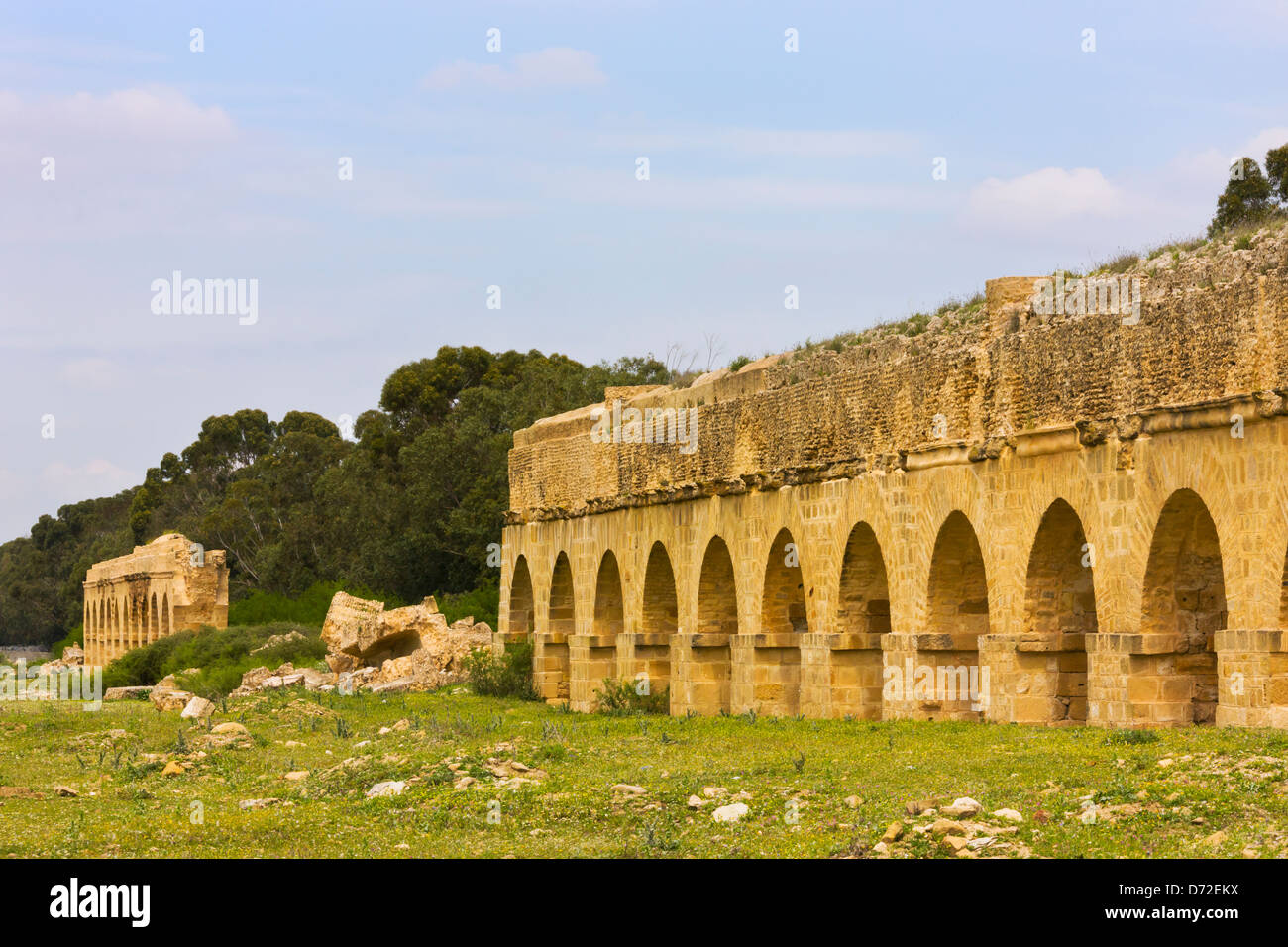 Le antiche rovine di Aquaduct per irrigazione, vicino a Tunisi, Tunisia Foto Stock