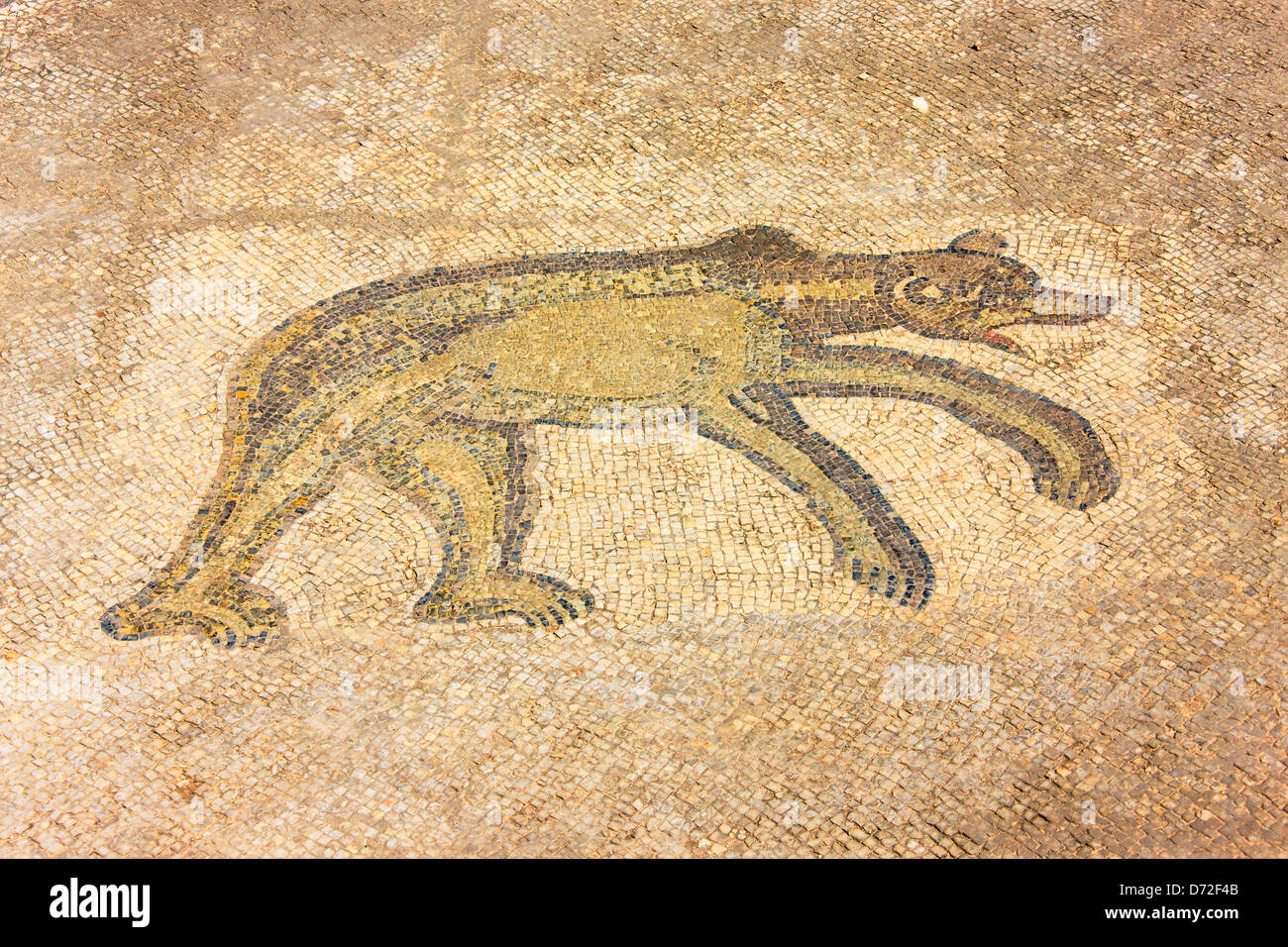 Mosaico, rovine Romane di Bulla Regia, Tunisia Foto Stock