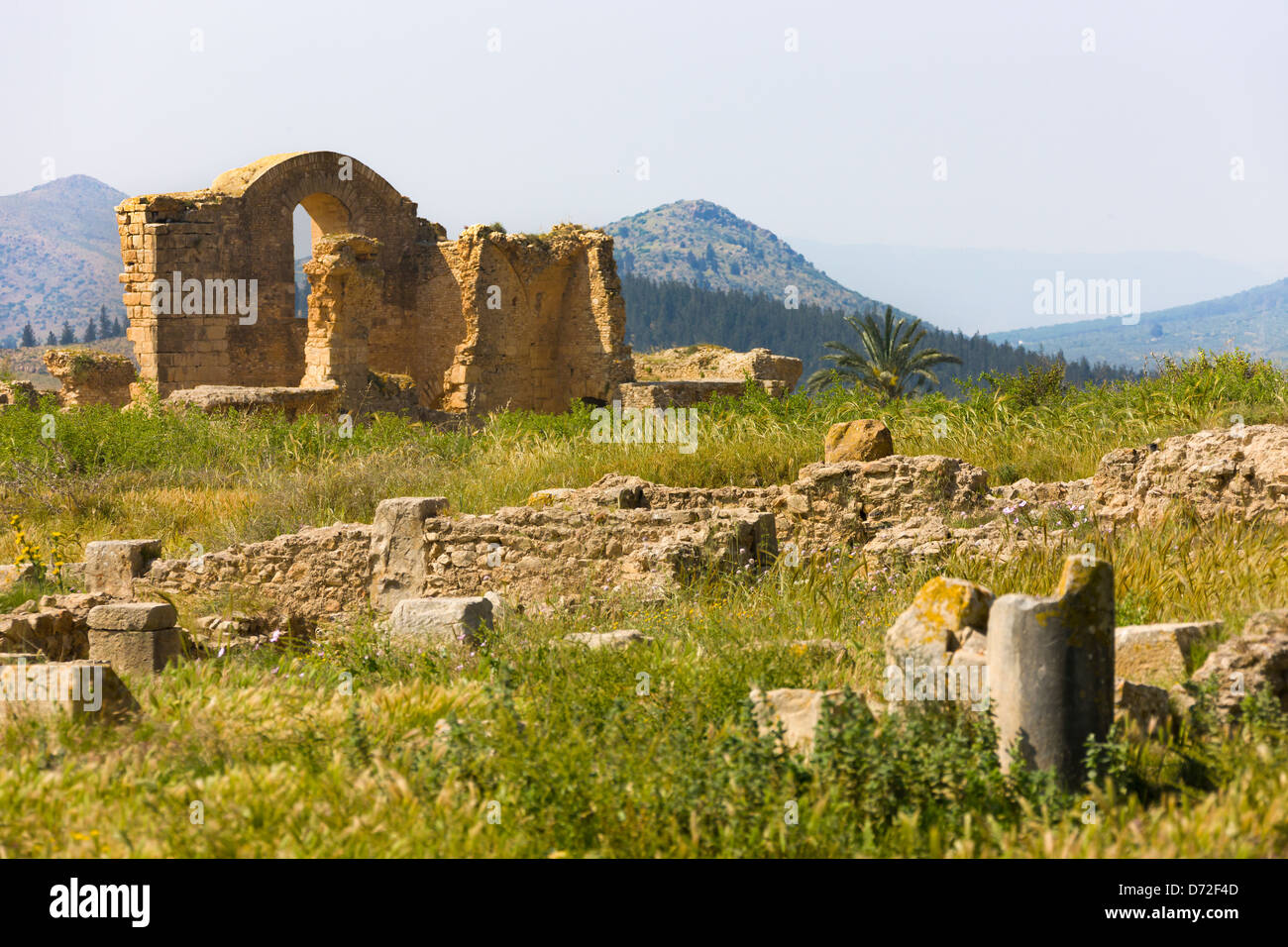 Rovine romane di Bulla Regia, Tunisia Foto Stock