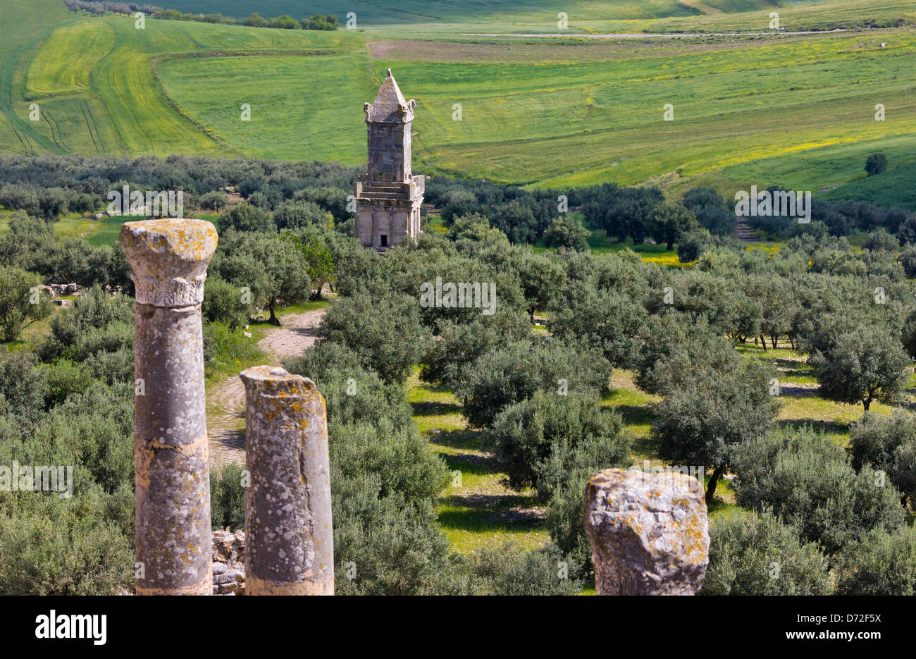 Le rovine della tomba romana torre interrata in Ain Darham montagna, Thugga, Tunisia Foto Stock