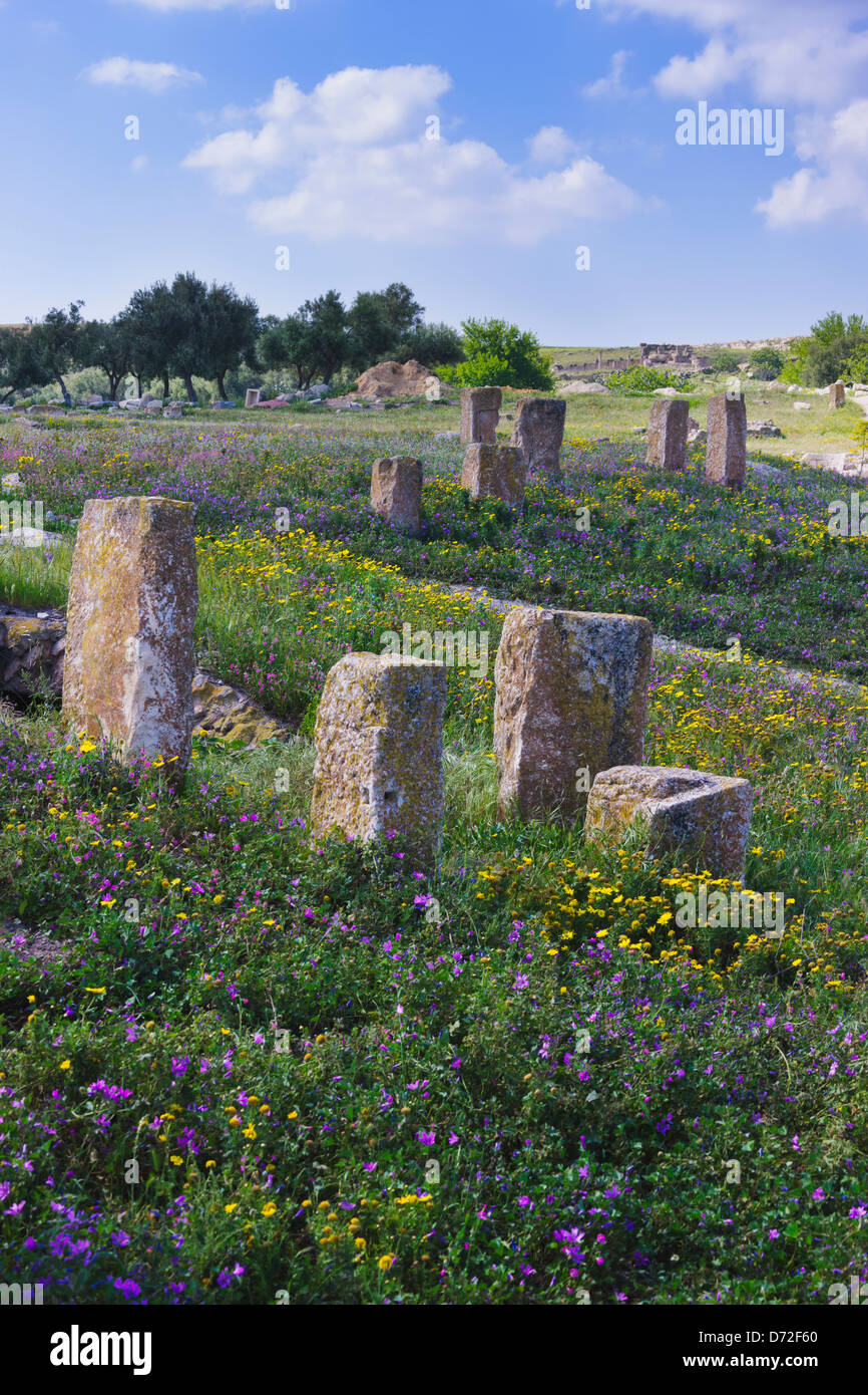 Le rovine della tomba romana cantiere in Ain Darham montagna, Thugga, Tunisia Foto Stock