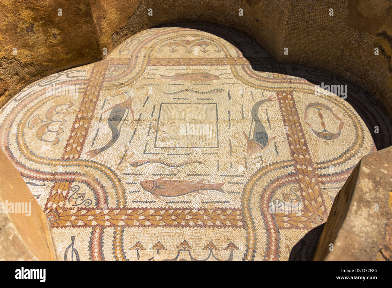 Vasca da bagno con mosaici a fondo e le rovine di Sbeitla, Tunisia Foto Stock