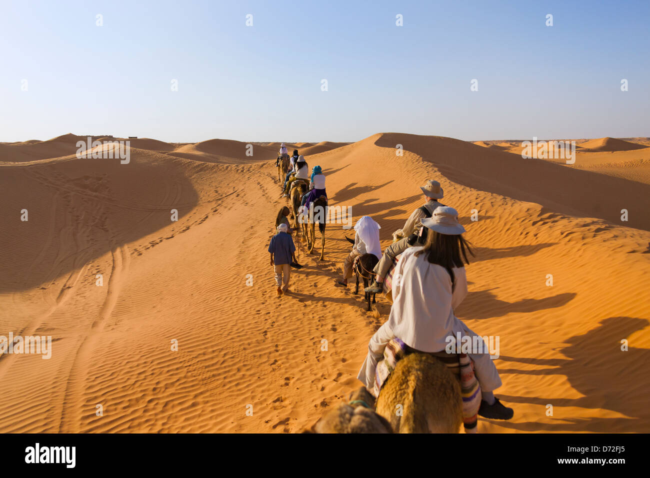 Caravan del cammello nel deserto del Sahara, Ksar Ghilane, Tunisia Foto Stock
