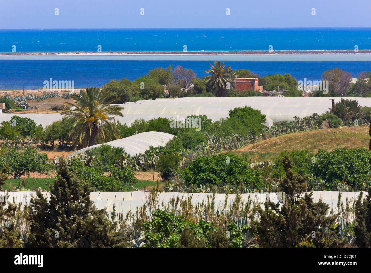 Serra, nei pressi di Mahdia, Tunisia Foto Stock