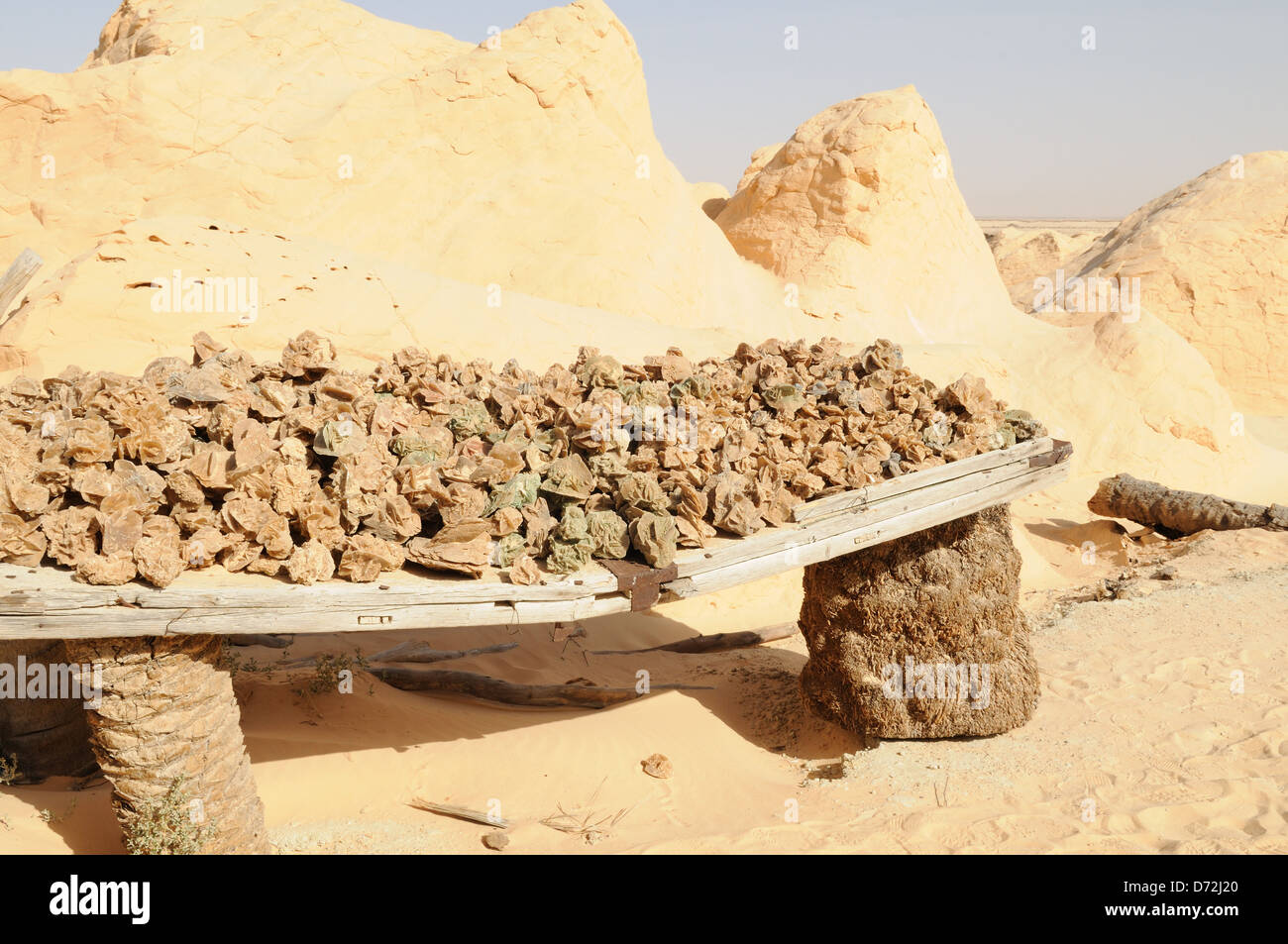 Rosa del Deserto o gesso a pietrificate dune di sabbia vicino a Douz Foto Stock