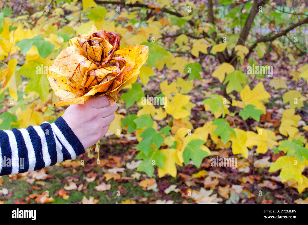 Mano azienda fiore decorativo fatto di colori d'autunno foglie di albero. Foto Stock