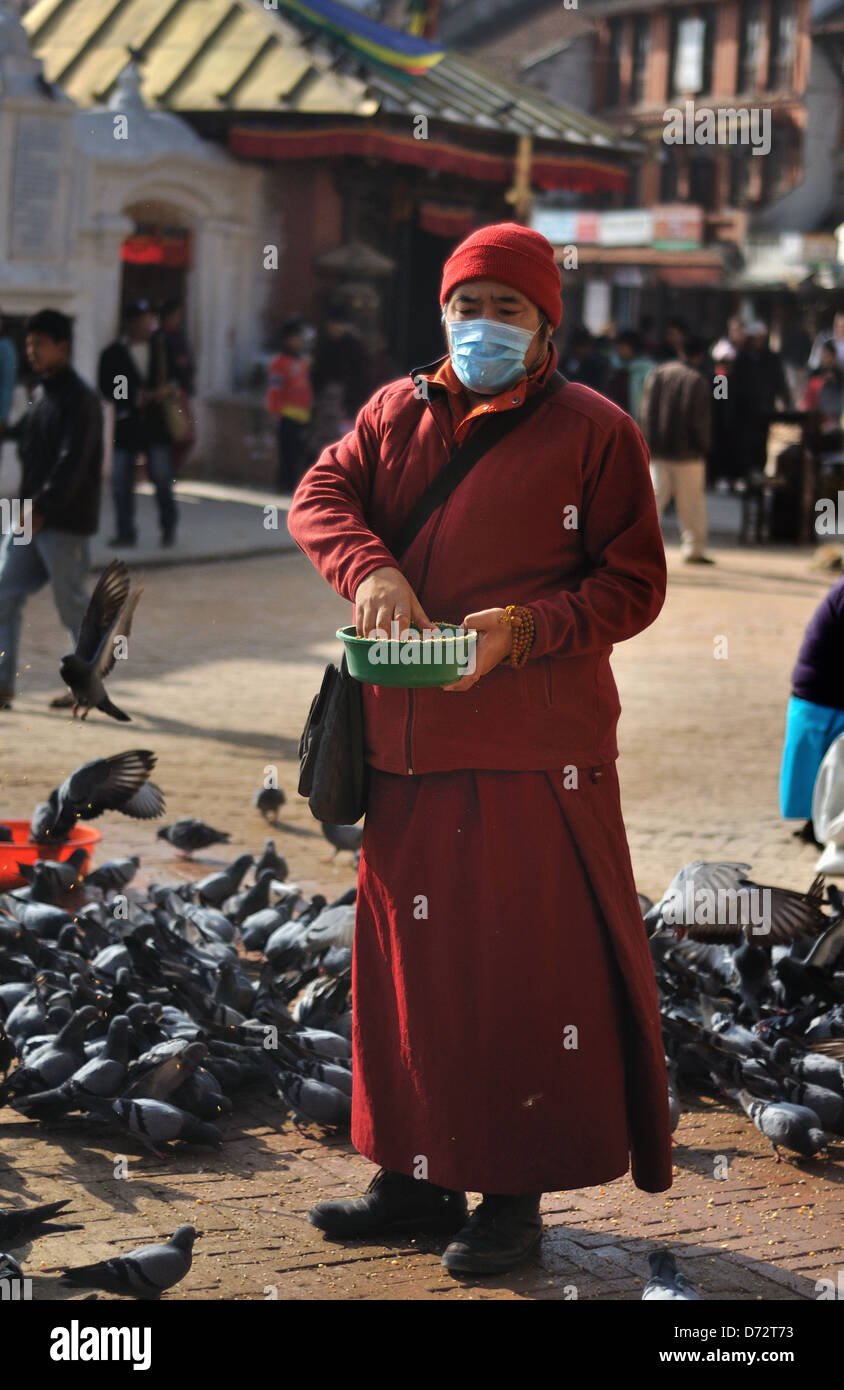 Monaco buddista alimenta i piccioni a Bodhnath, Kathmandu, Nepal Foto Stock