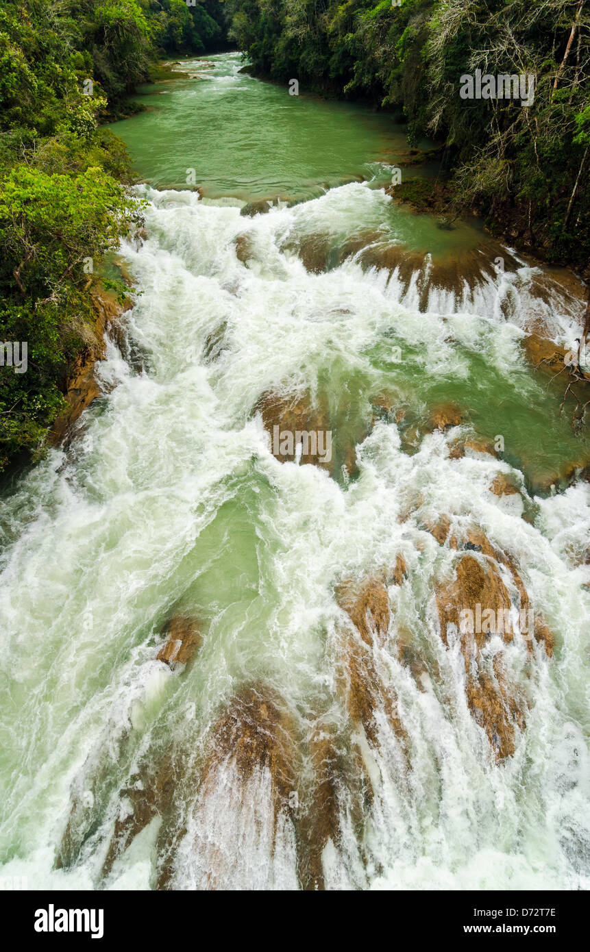 In un periodo di turbolenza nel fiume che corre attraverso il Chiapas nel sud del Messico Foto Stock