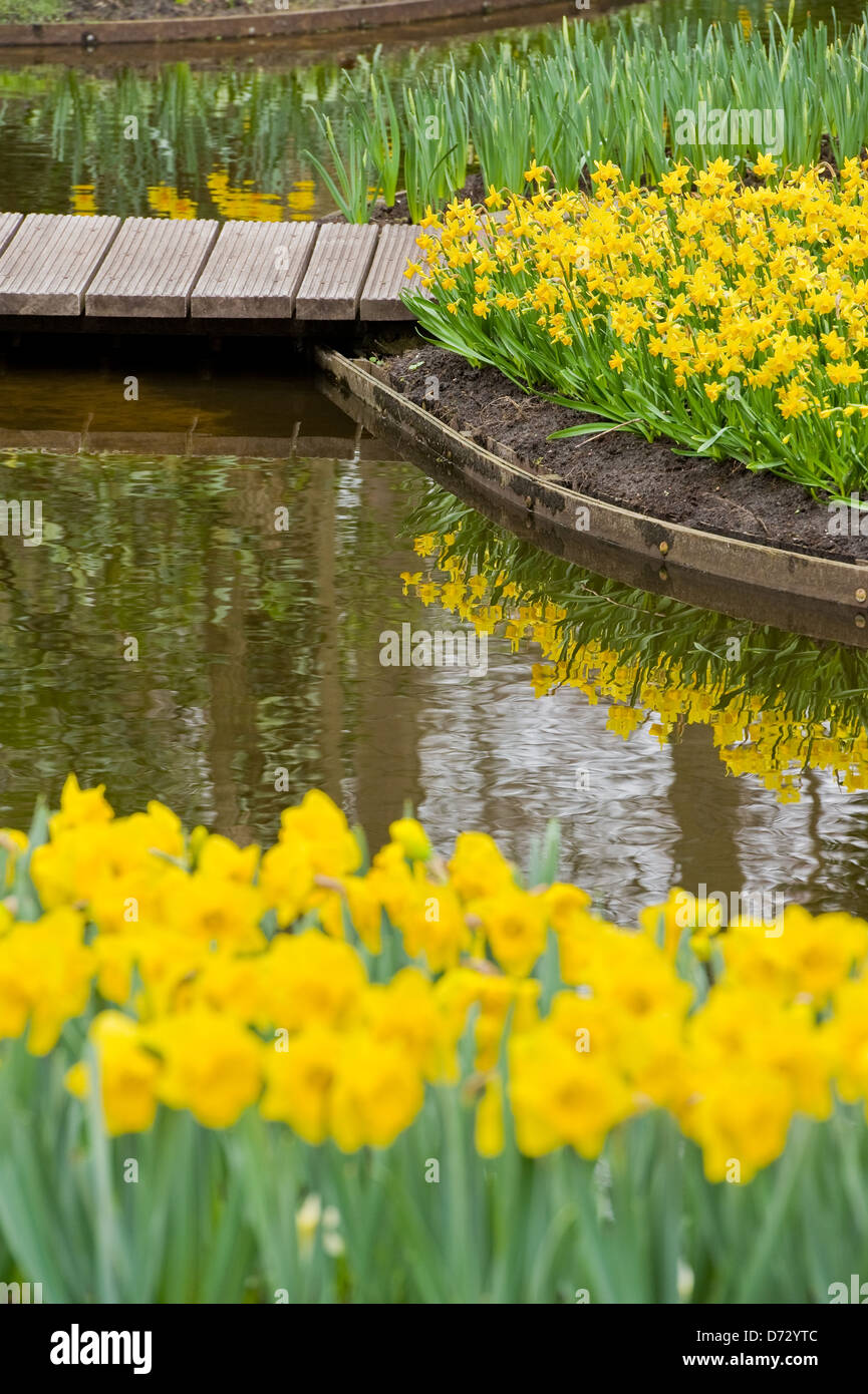 La molla i bulbi presso i giardini Keukenhof, Olanda. Foto Stock