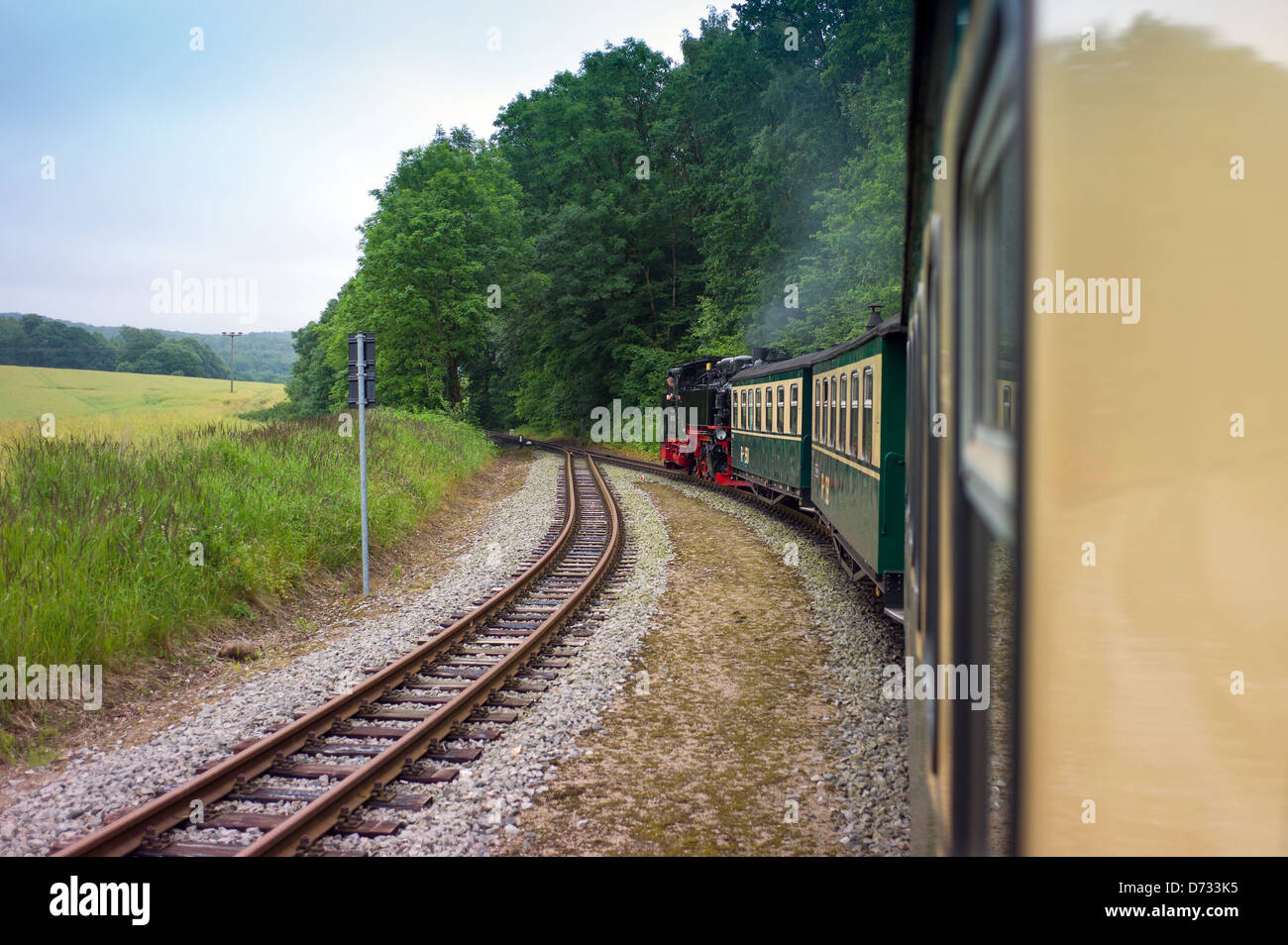 Binz, Germania, Racing Roland ferrovia a scartamento ridotto sulla rotta da Binz a Sellin Foto Stock