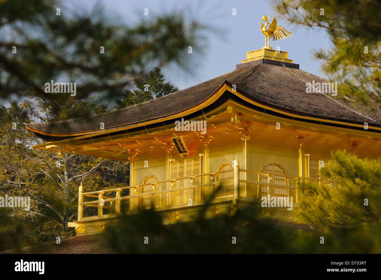 Il Padiglione Dorato, Kinkaku-ji (noto anche come Rokuon-ji Tempio), Kyoto, Giappone Foto Stock