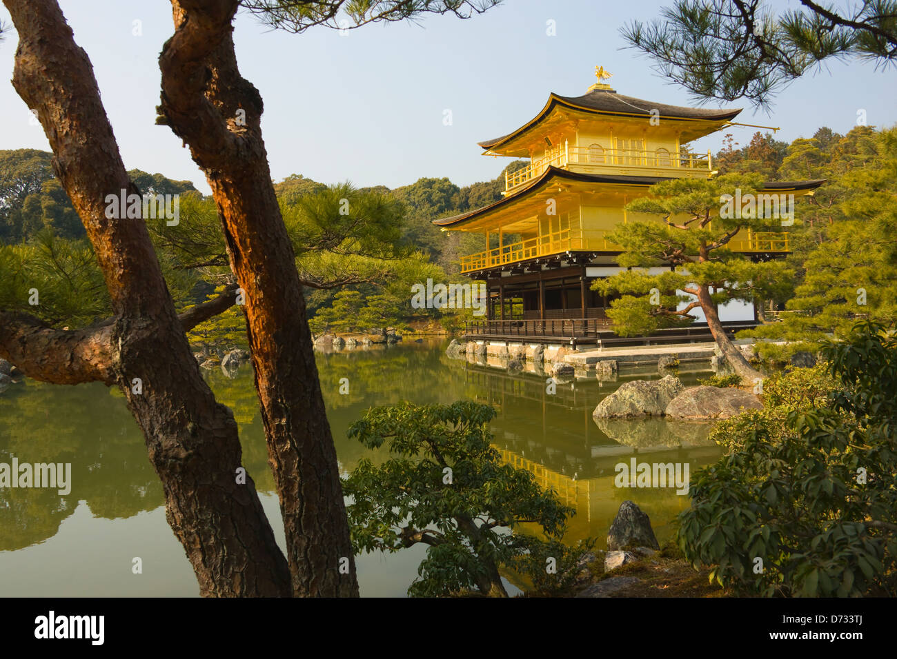 Il padiglione dorato con la riflessione in acqua, Kinkaku-ji (noto anche come Rokuon-ji Tempio), Kyoto, Giappone Foto Stock