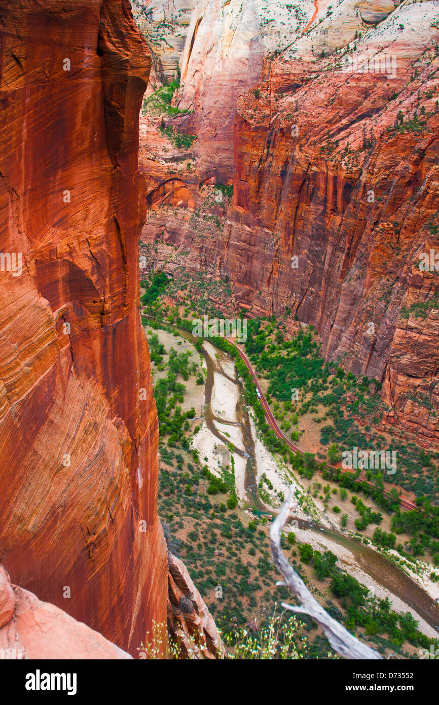Il Red Rock Cliff nel Parco Nazionale di Zion,Utah,USA Foto Stock