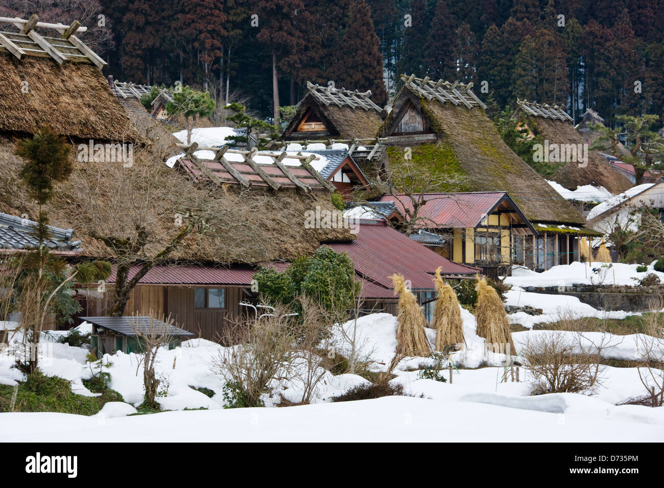 Tradizionale tetto in paglia casa in montagna coperta di neve, Miyama-cho, Prefettura di Kyoto, Giappone Foto Stock