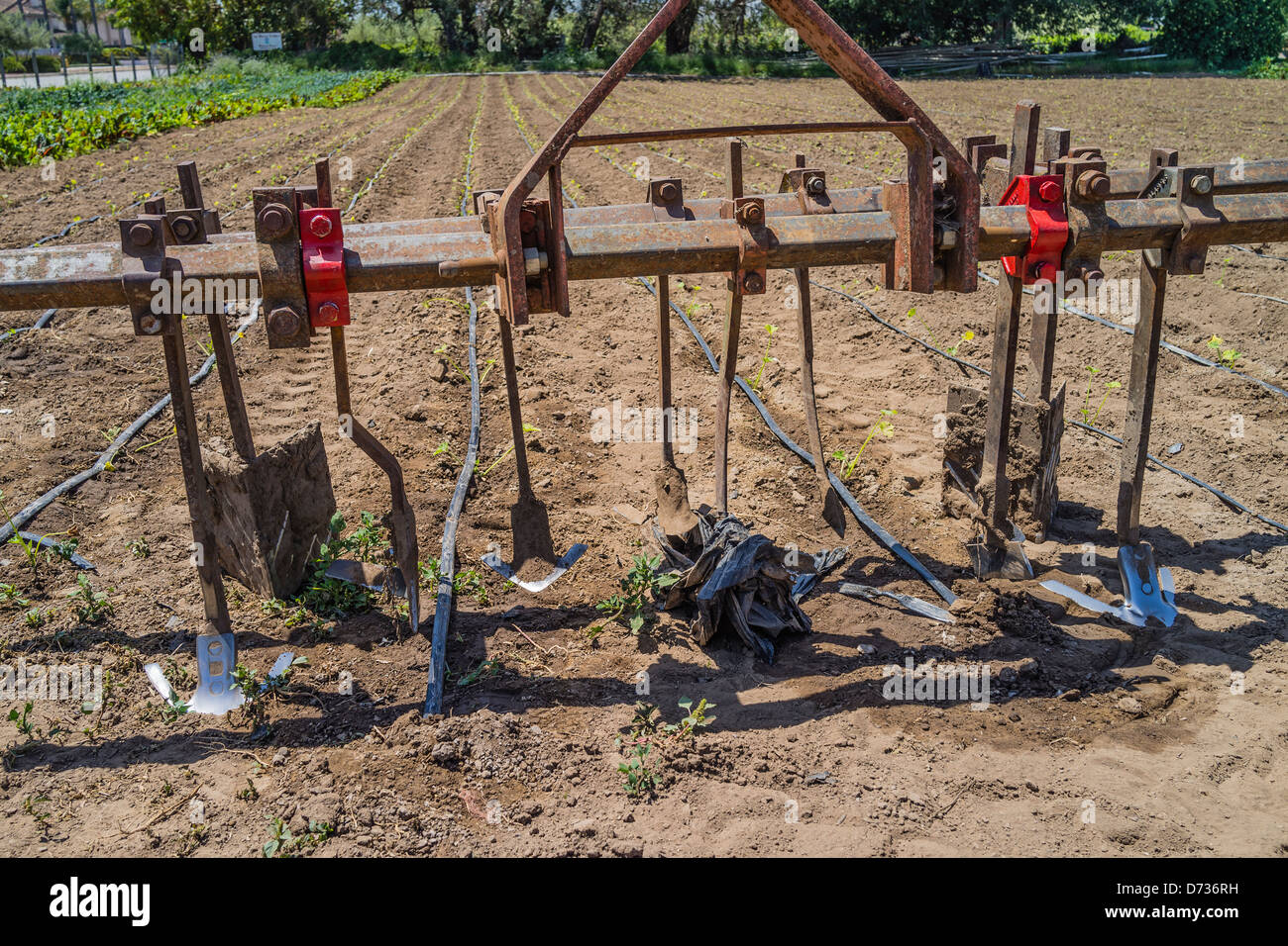 Un aratro usato su un campo si erge di fronte al fresco terreno arato in Santa Barbara County, California. Foto Stock