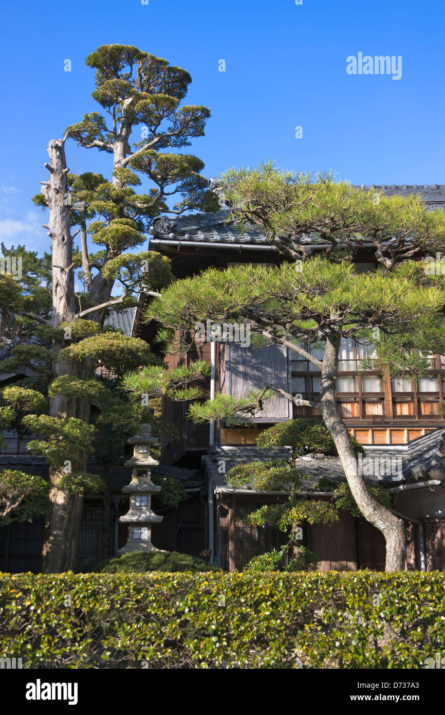 Ben rifinito pino con la vecchia casa, Ise, Prefettura di Mie, Giappone Foto Stock