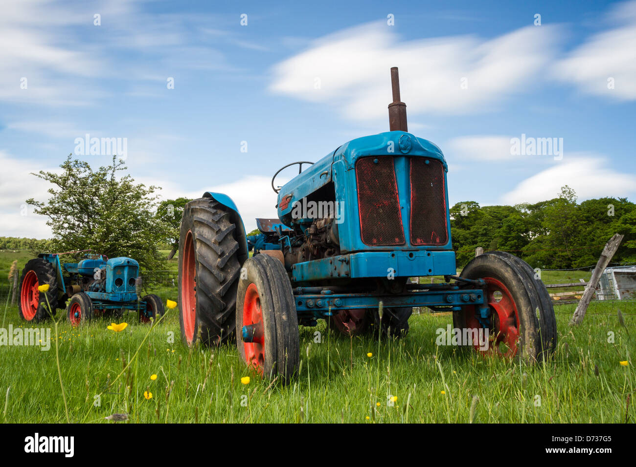 Due vecchie di blu e di rosso i trattori, Otley nel West Yorkshire Foto Stock