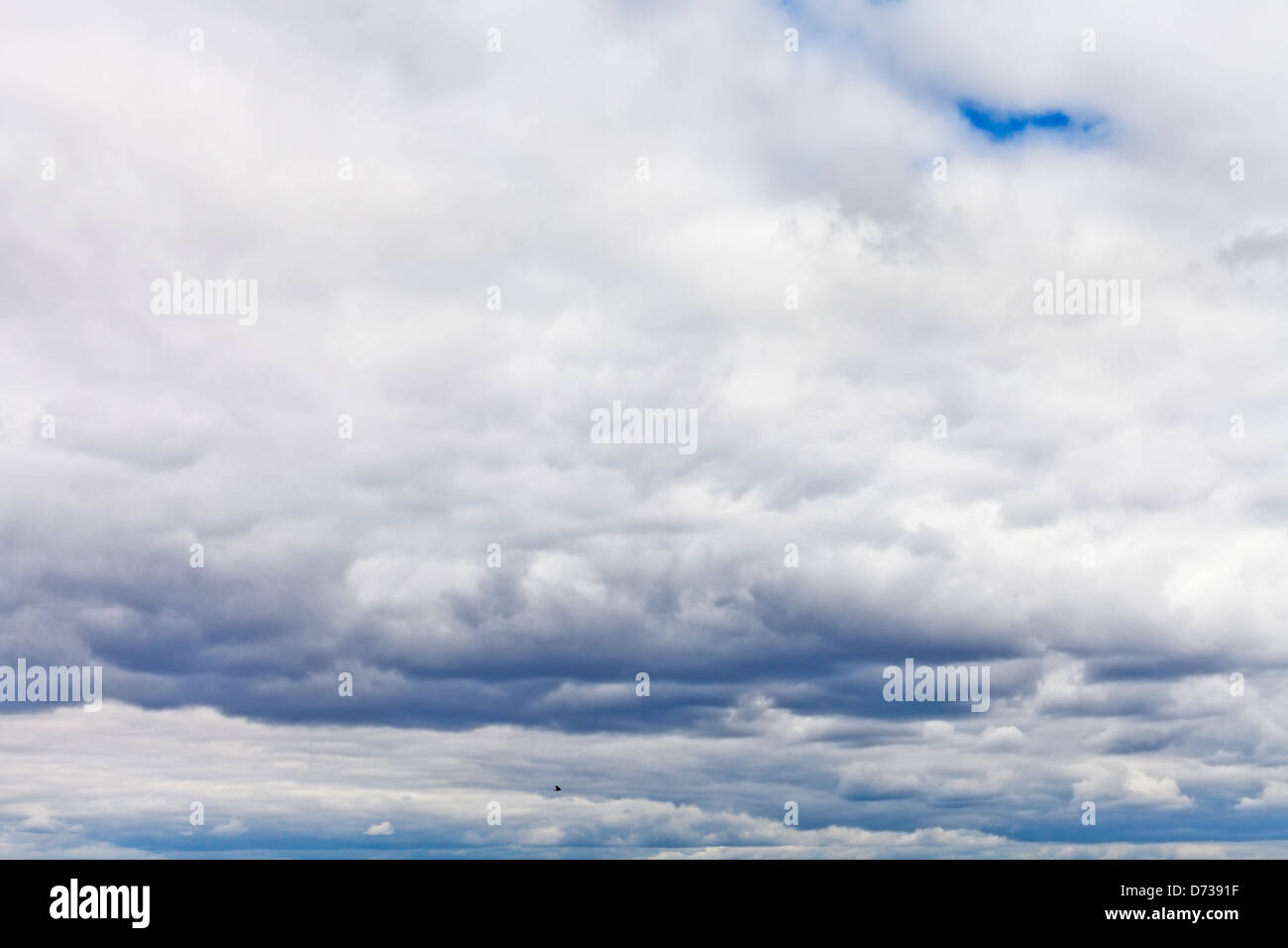 Bassa bllue scure nuvole di pioggia in primavera Foto Stock