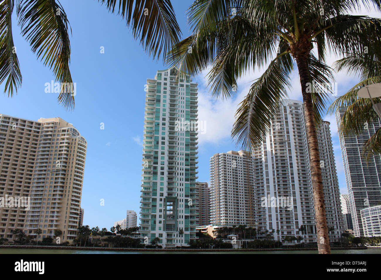 Grandi e salutari palme incornicia il paesaggio urbano di una trafficata area del centro di Miami Florida, i classici cieli blu e il grande puffy potrebbero essere uno sfondo attraente. Foto Stock