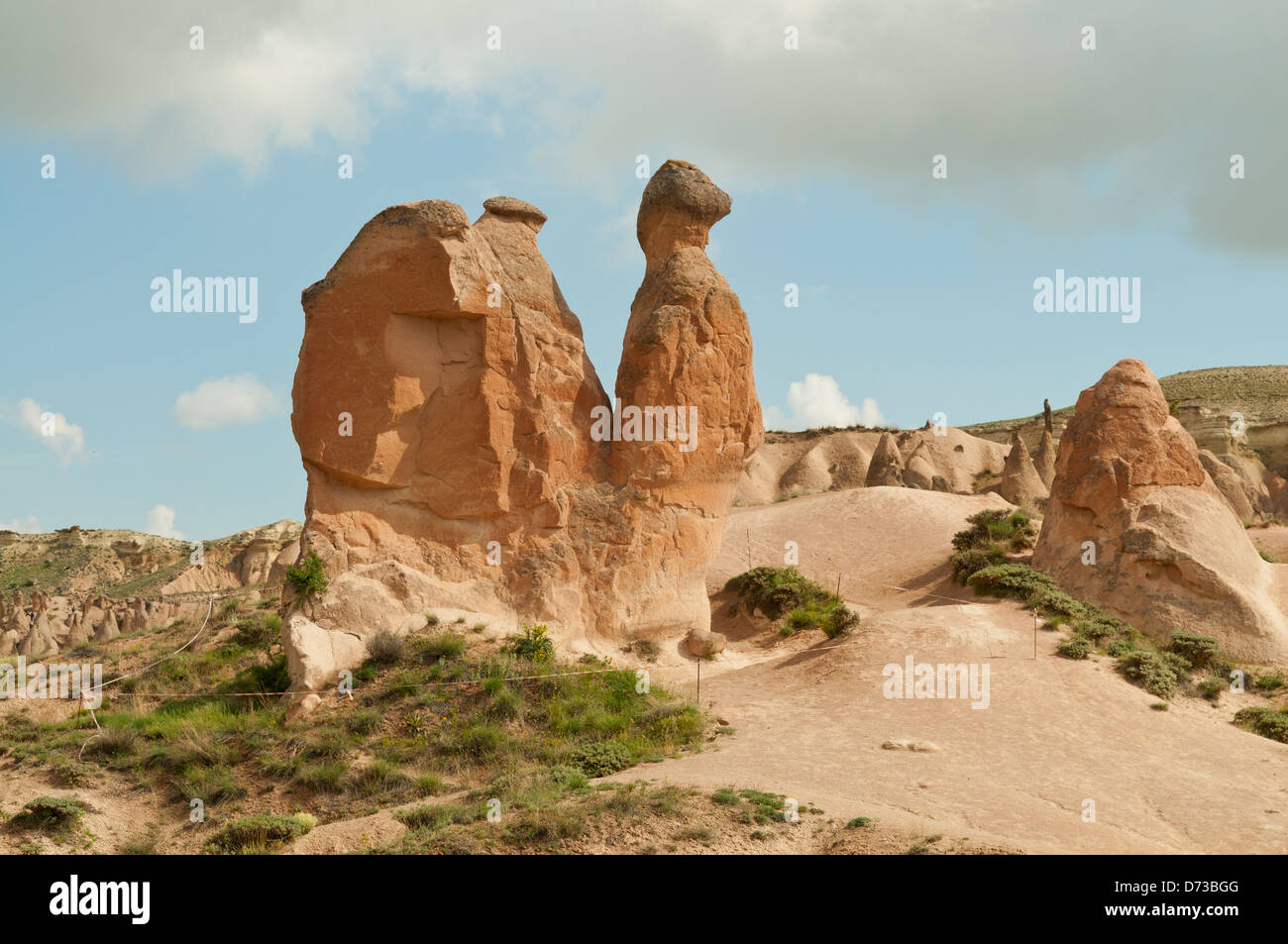 Il Cammello, Camini di Fata a Pasabagi, Cappodocia, Nevsehir, Turchia Foto Stock
