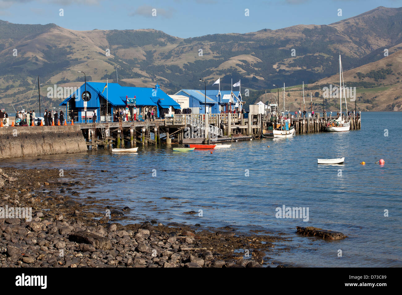 Akaroa village nella Penisola di Banks, Isola del Sud, Nuova Zelanda Foto Stock