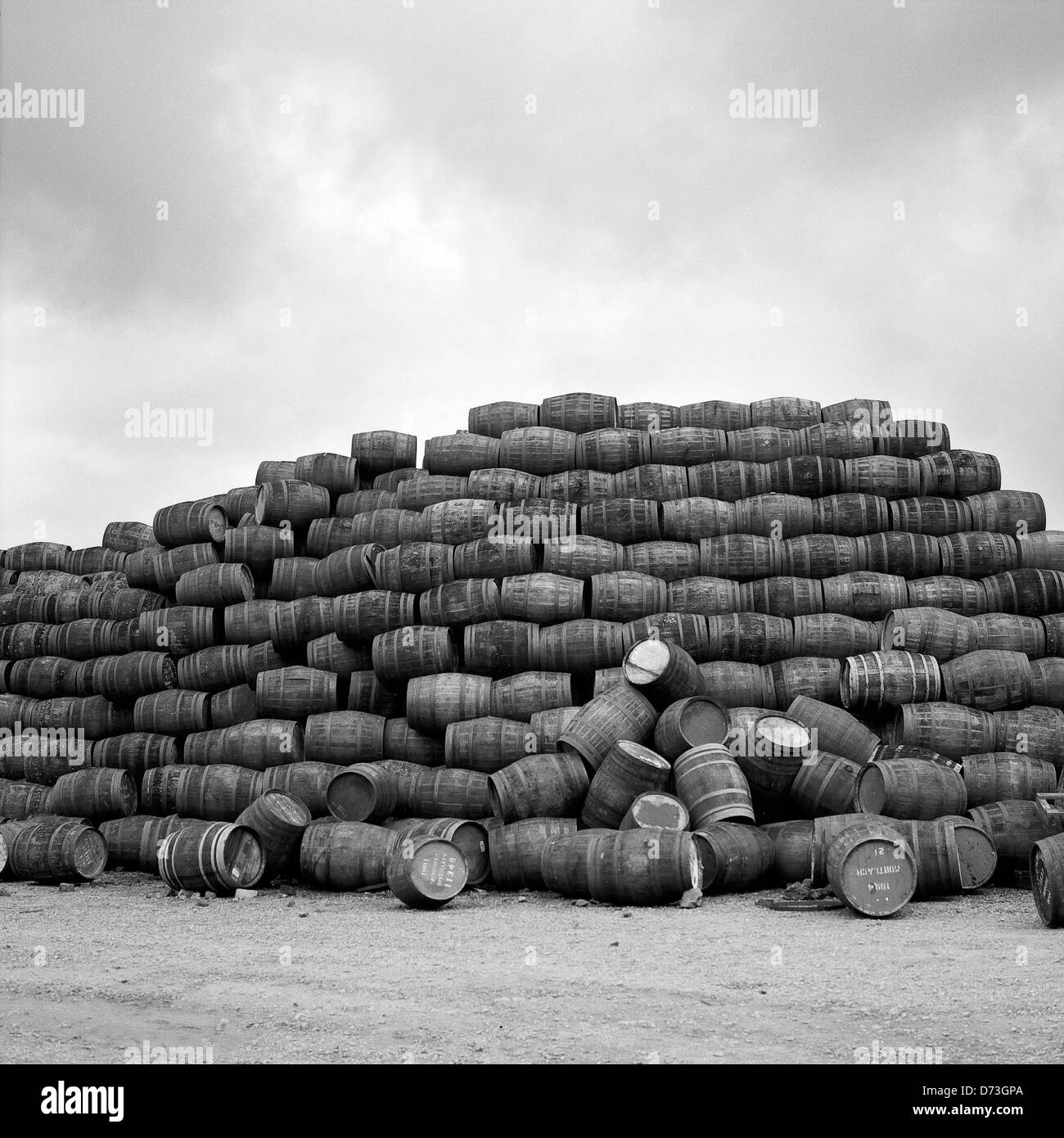 Craigellachie, Scozia, Speyside Cooperage vecchio Whiskeyfaesser Foto Stock