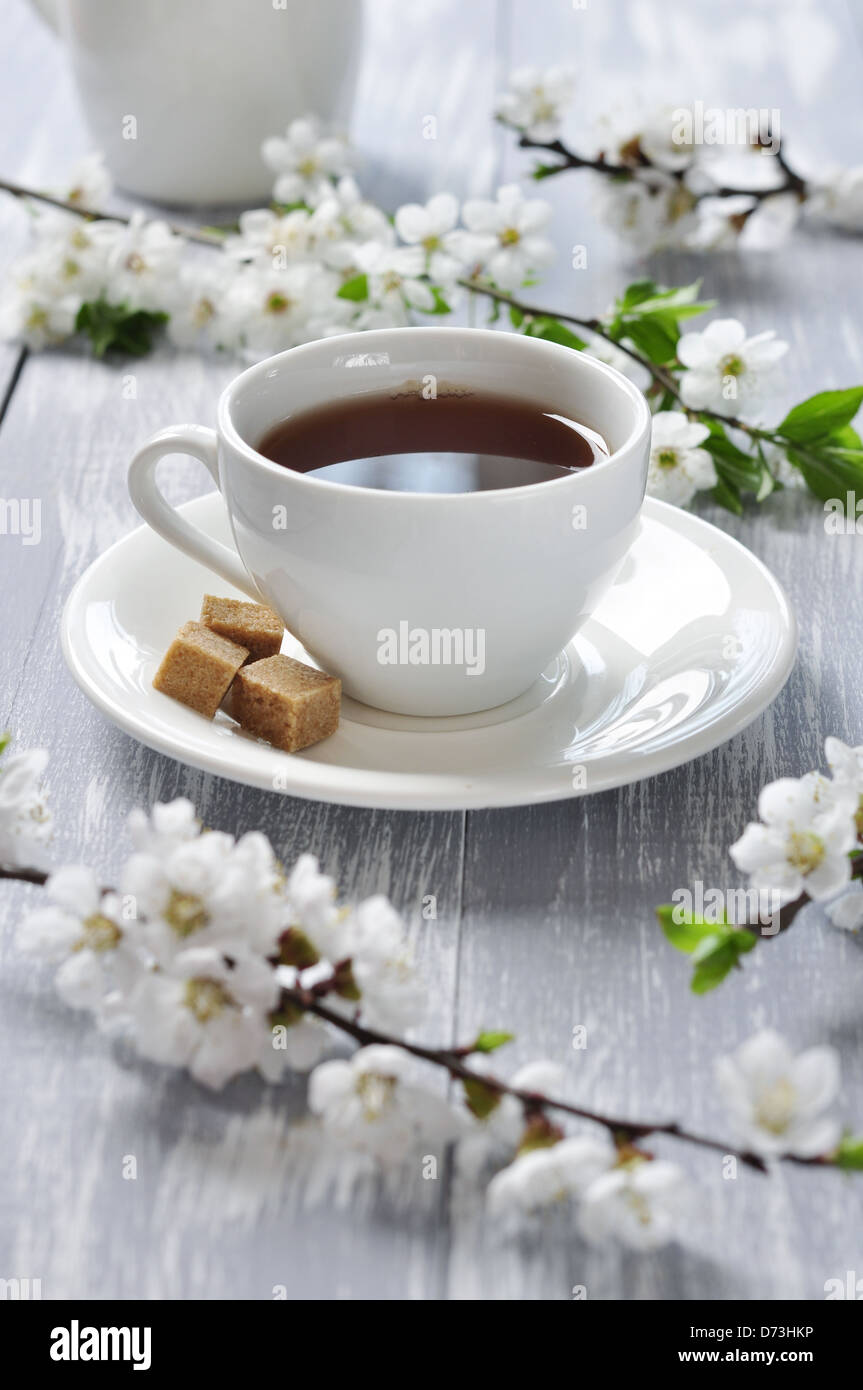 Tazza di tè e teiera con rami di ciliegio in fiore su sfondo di legno Foto Stock