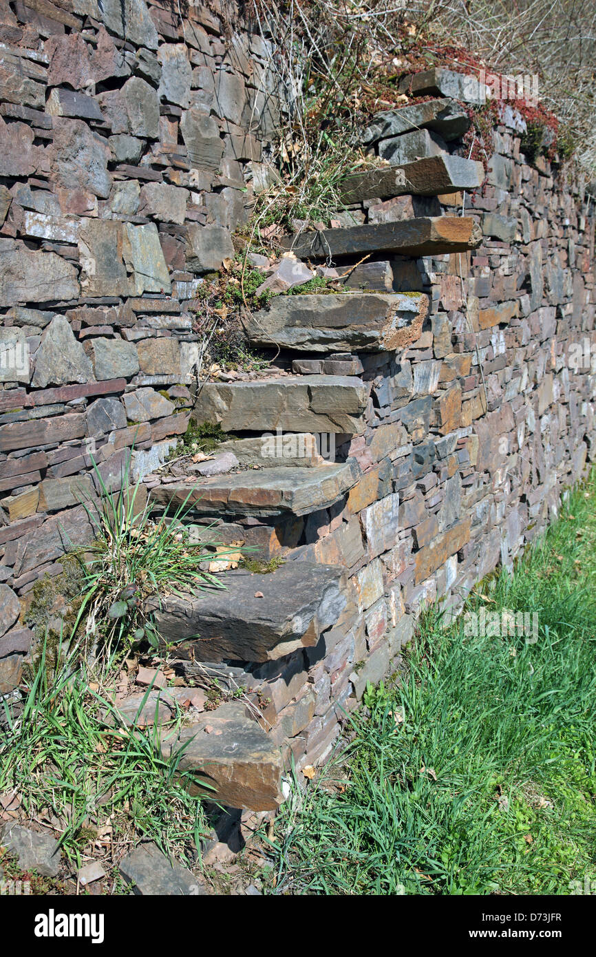 Vecchio di gradini di pietra che conduce in un vigneto vicino Hatzenport nella regione della Mosella Renania Palatinato Germania Foto Stock