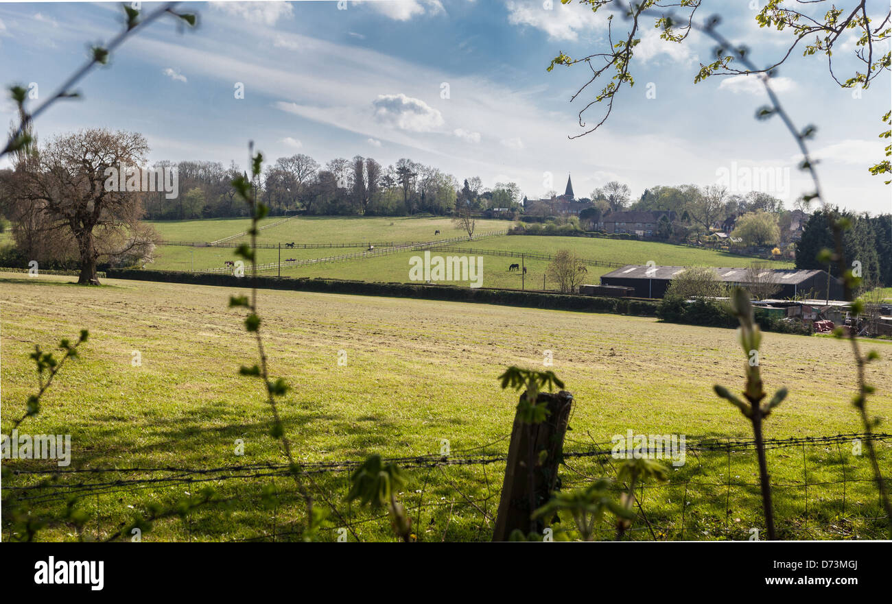 Campagna britannica vista, Borehamwood Hertfordshire, Inghilterra, Regno Unito Foto Stock