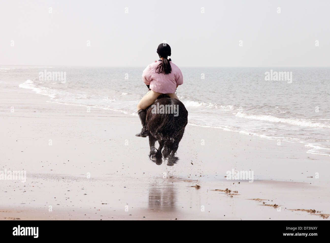Una giovane donna sul suo cavallo al galoppo lontano in distanza, Holkham Beach, NORFOLK REGNO UNITO Foto Stock