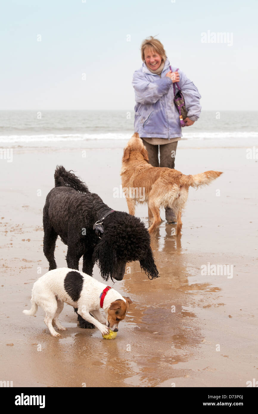Una donna con tre cani di camminare sulla spiaggia, Holkham Beach, North Norfolk REGNO UNITO Foto Stock