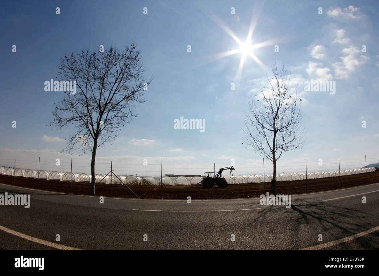 Un trattore è visto passando nei pressi di serre agricole nell'isola spagnola di Maiorca Foto Stock