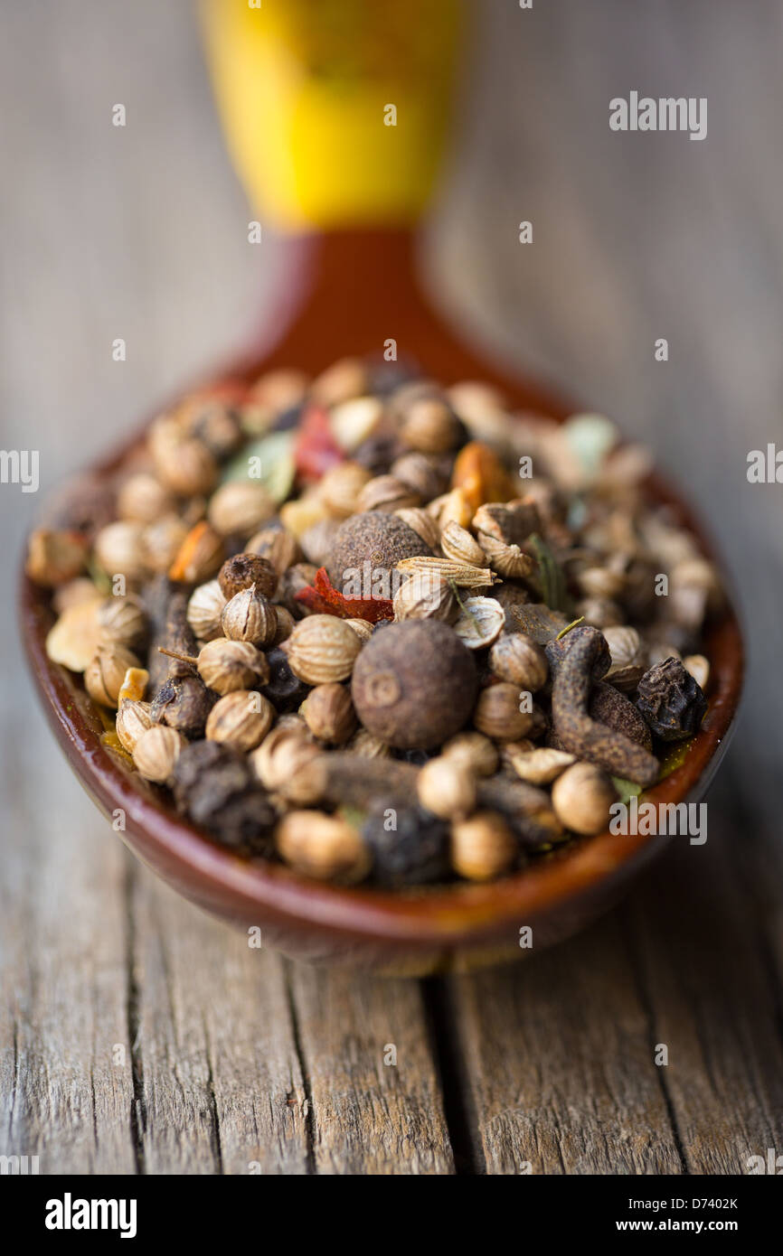 Garam Masala sul cucchiaio Foto Stock