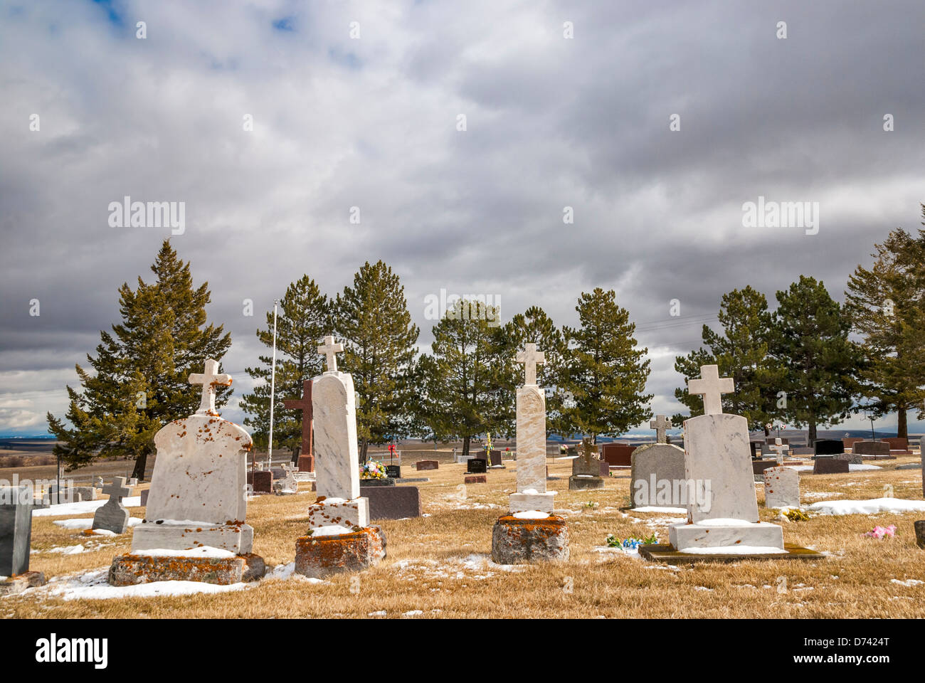 Pietre tombali e alberi di pino in un cimitero in Idaho Foto Stock