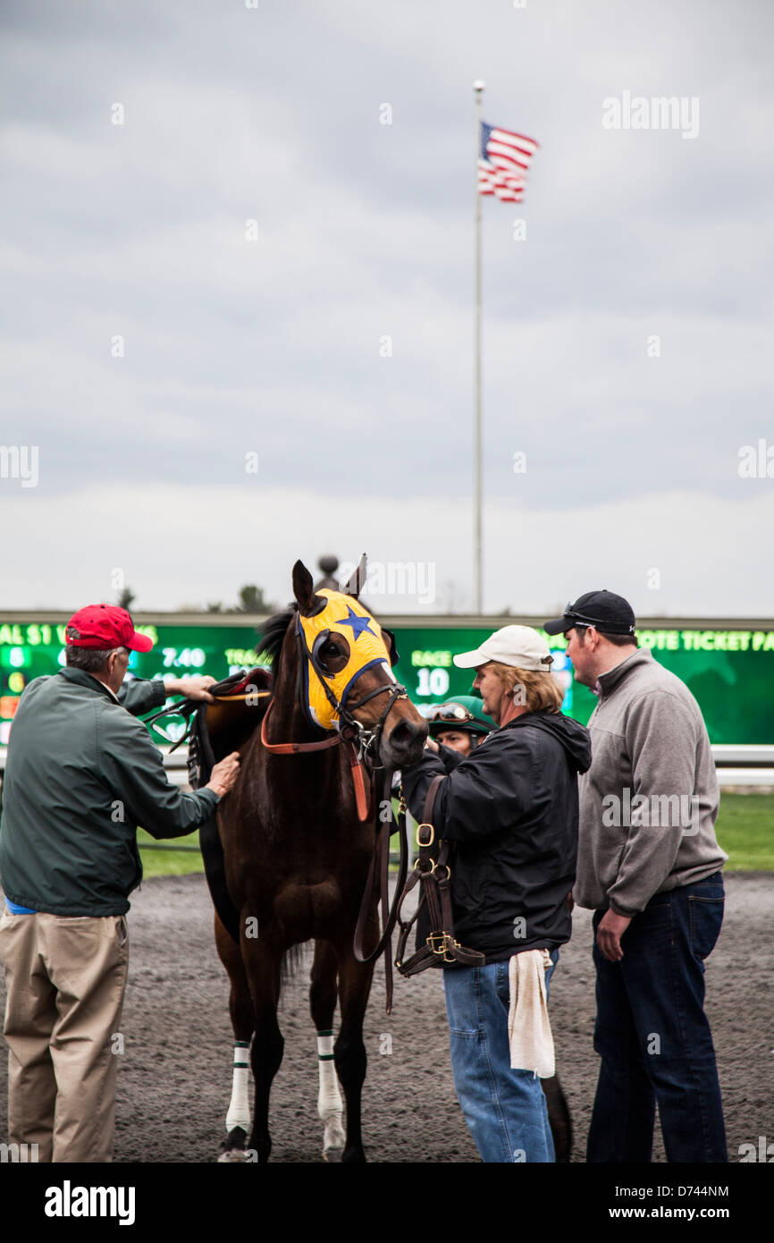 Il Kentucky Horse race, cavallo vincente Foto Stock