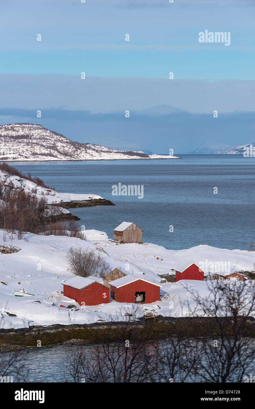 Case sulla riva di un ingresso al mare nei pressi di Koppangen, Norvegia Foto Stock