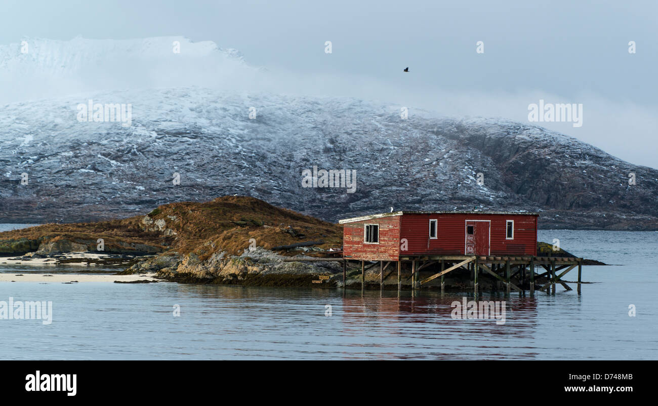 Shack su una piccola isola in Sommarøy, Norvegia Foto Stock