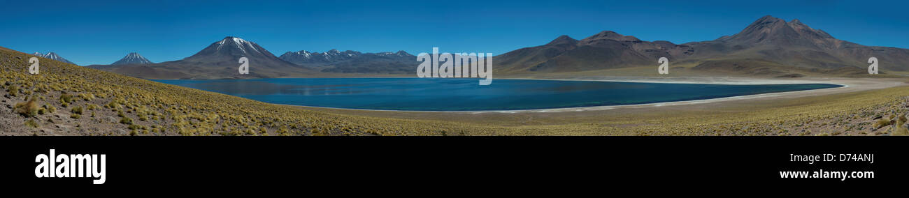 Panorama (foto 88x13 pollici) Miscanti vulcano 5640 m (18,504 ft.) Laguna Miscanti Vulcano Miniques 5,910 M (19,390 ft) su Foto Stock