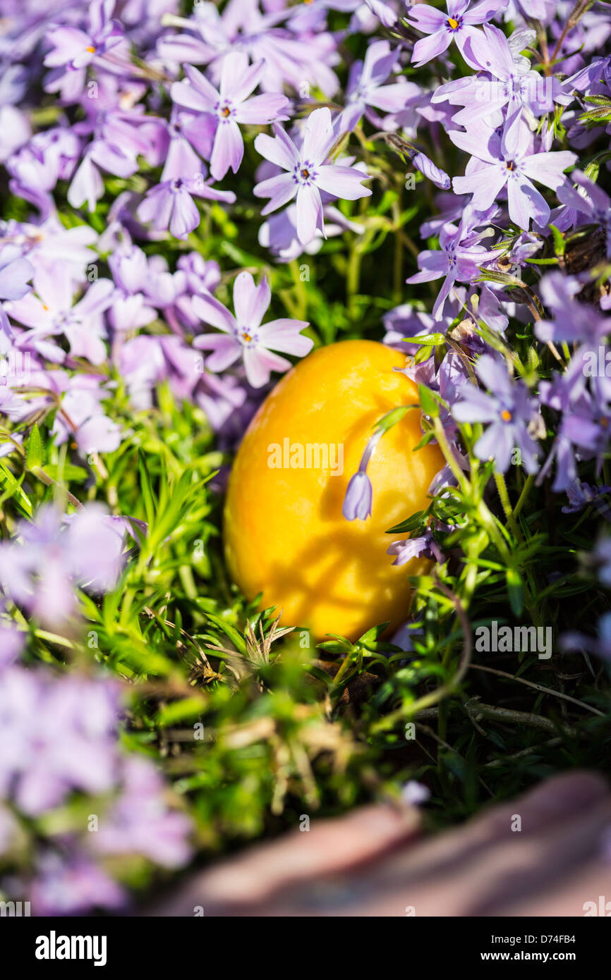 Alabastro uova di Pasqua nascosta in una patch di Phlox selvatici per i bambini a trovare. Foto Stock