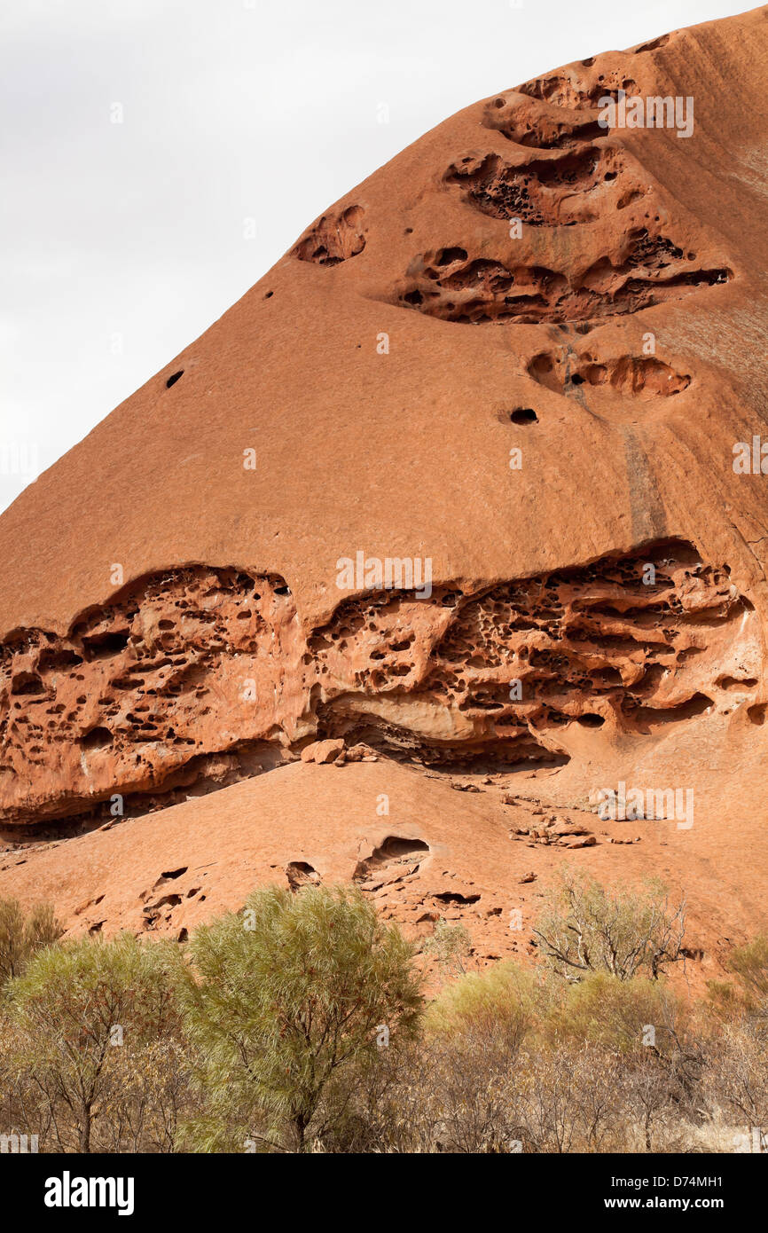 Uluru - Ayers Rock. Più in anticipo del luogo sacro. UNESO patrimonio mondiale. Rosso di roccia arenaria closeup con giorno cambiando colore verniciatura. Foto Stock