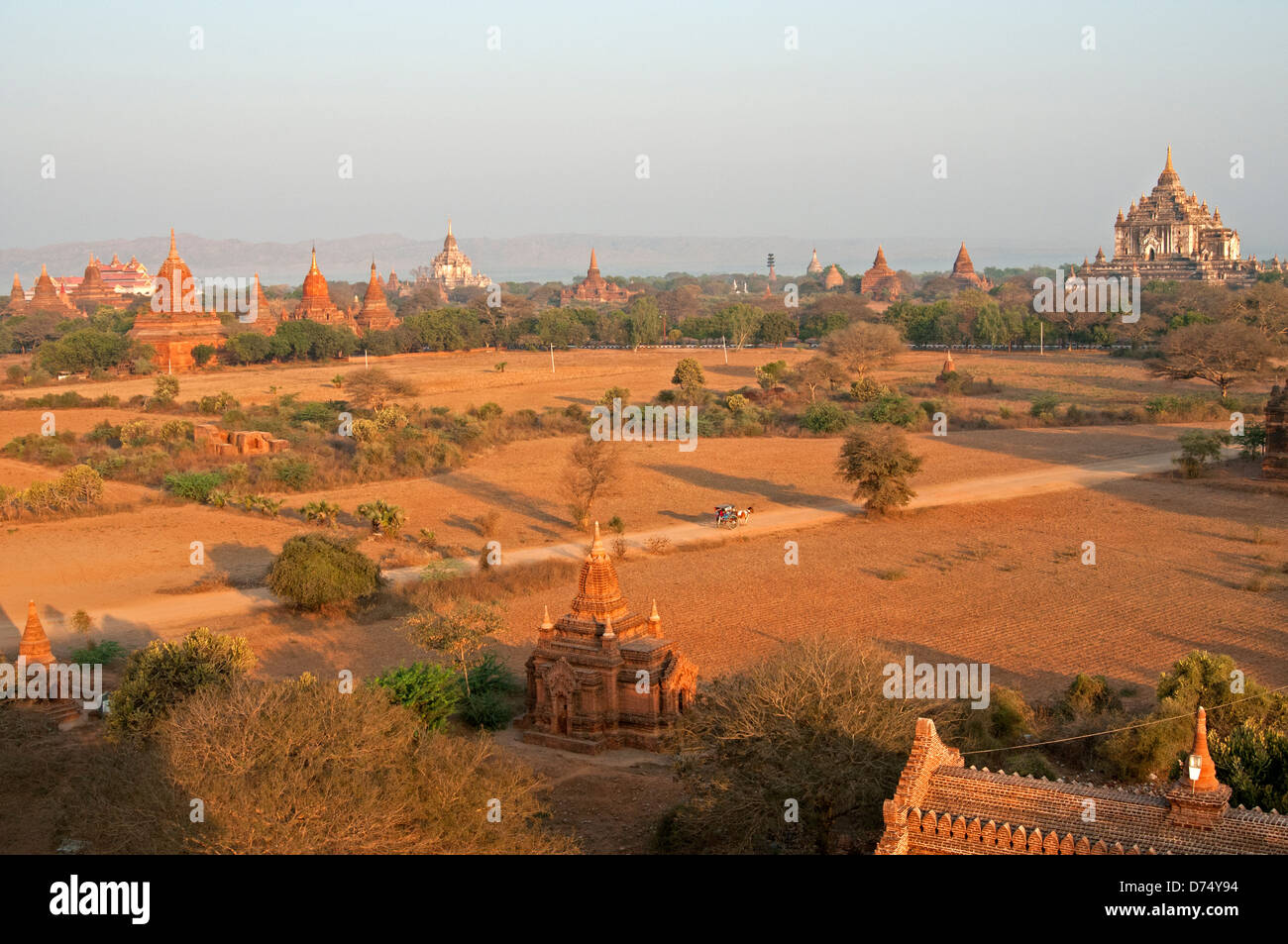 Golden incandescente rosso mattone guglie del tempio al tramonto Bagan Myanmar (Birmania) Foto Stock Golden incandescente rosso mattone guglie del tempio al tramonto Bagan Myanmar (Birmania) Foto Stock