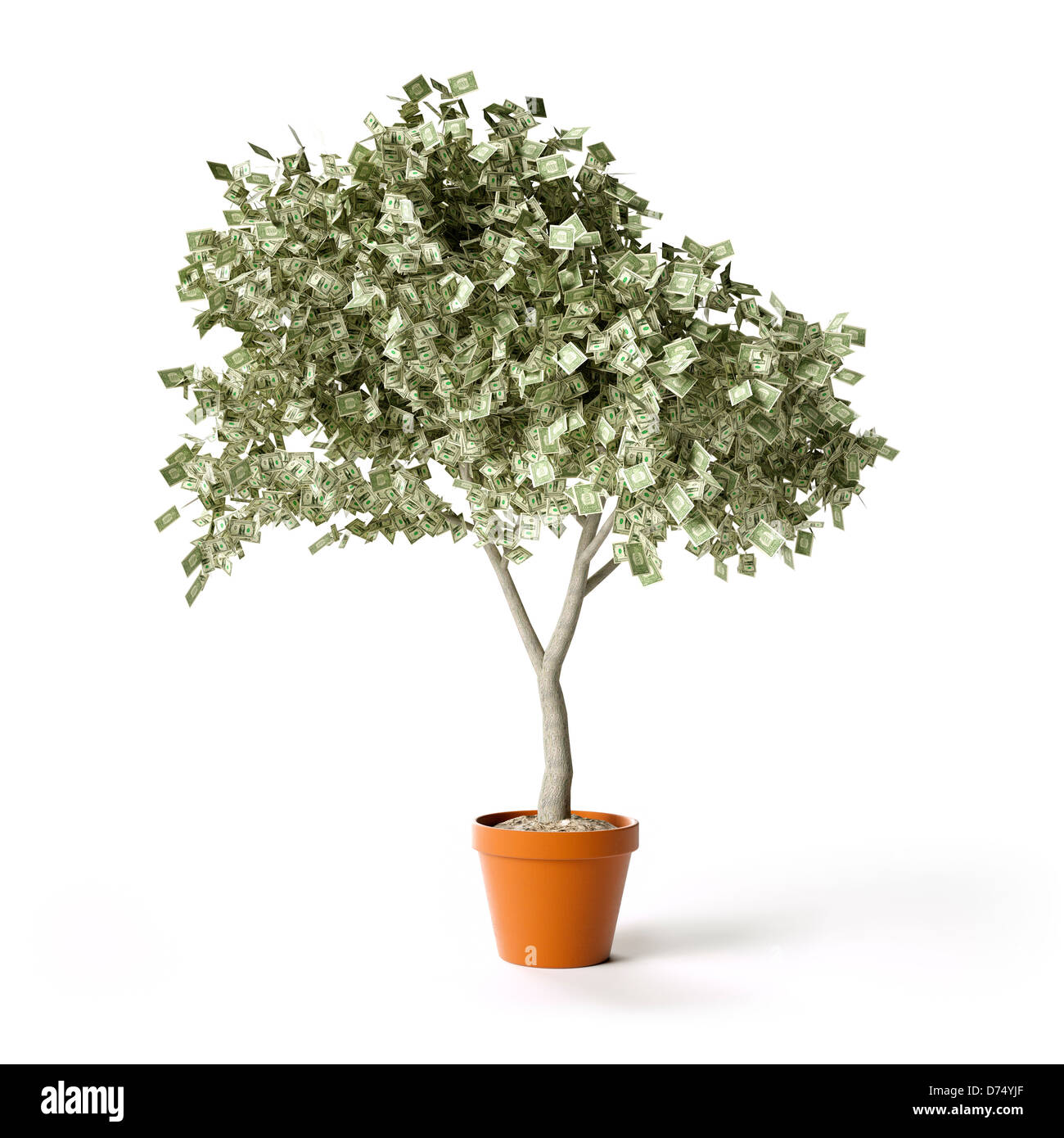 Le fatture del dollaro money tree Foto Stock