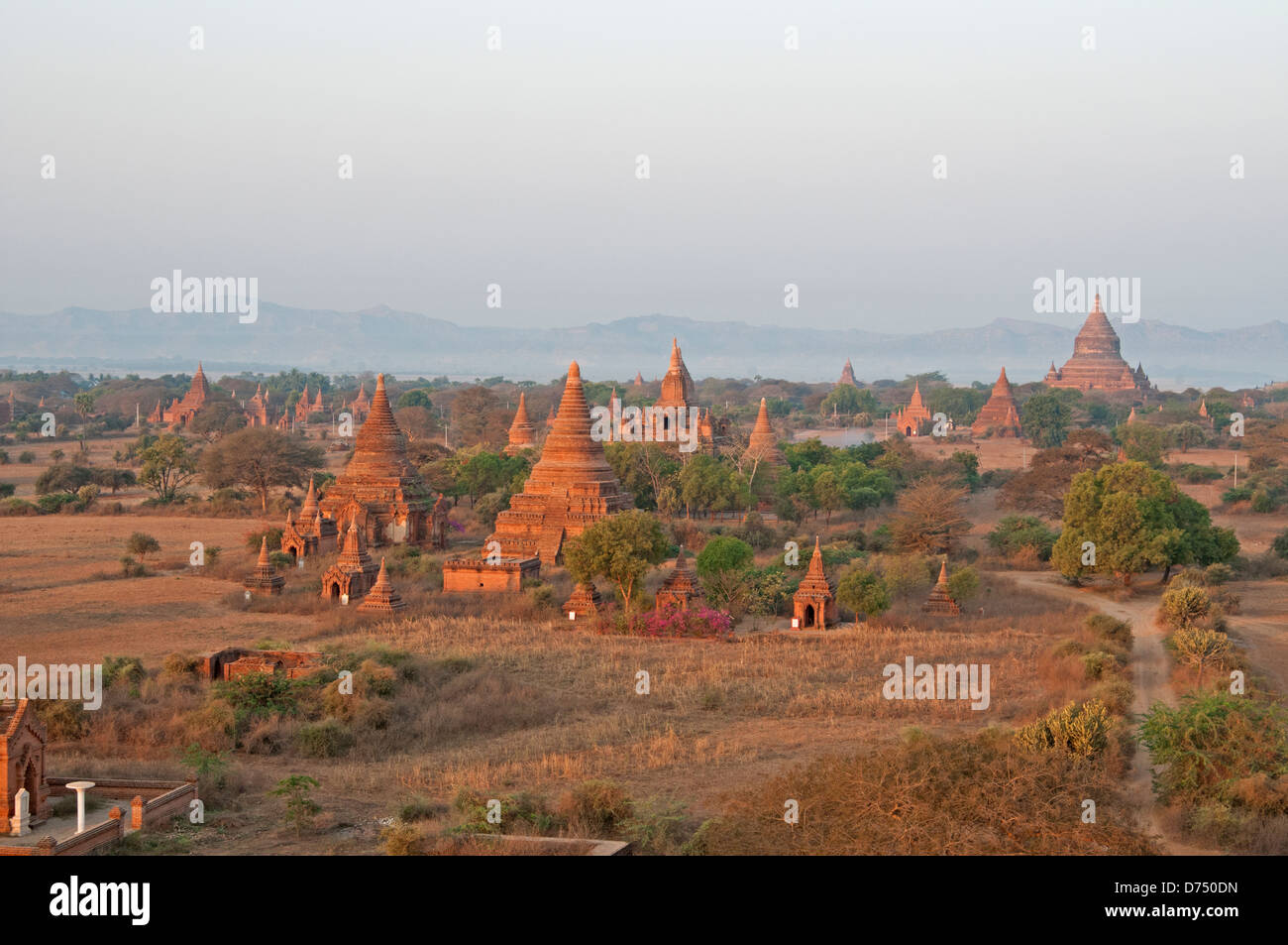 Golden incandescente rosso mattone guglie del tempio di sunrise Bagan Myanmar (Birmania) Foto Stock Golden incandescente rosso mattone guglie del tempio di sunrise Bagan Myanmar (Birmania) Foto Stock