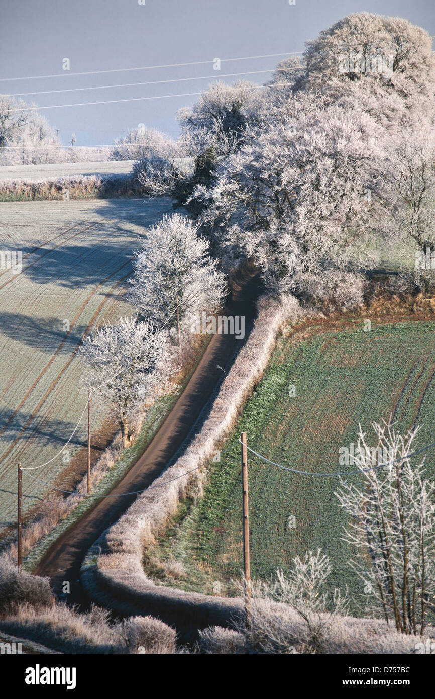 Trasformata per forte gradiente frost paesaggio, Hertfordshire, Regno Unito, rurale scena con stretto viottolo di campagna, basso sole invernale. Foto Stock