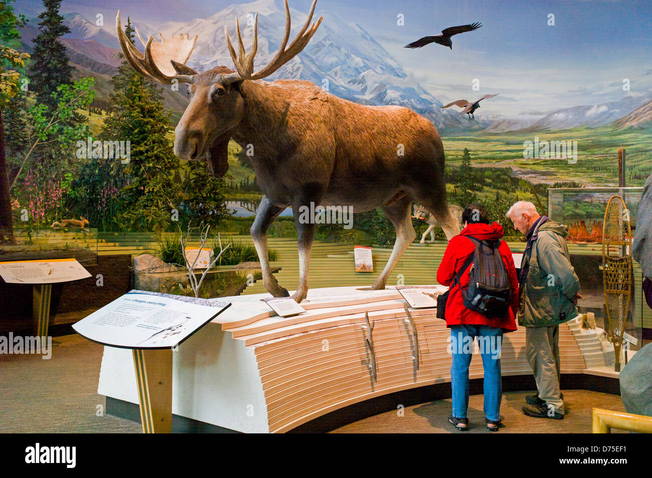 I turisti che visitano il Parco Nazionale di Denali Centro Visitatori, Parco Nazionale di Denali, Alaska, STATI UNITI D'AMERICA Foto Stock