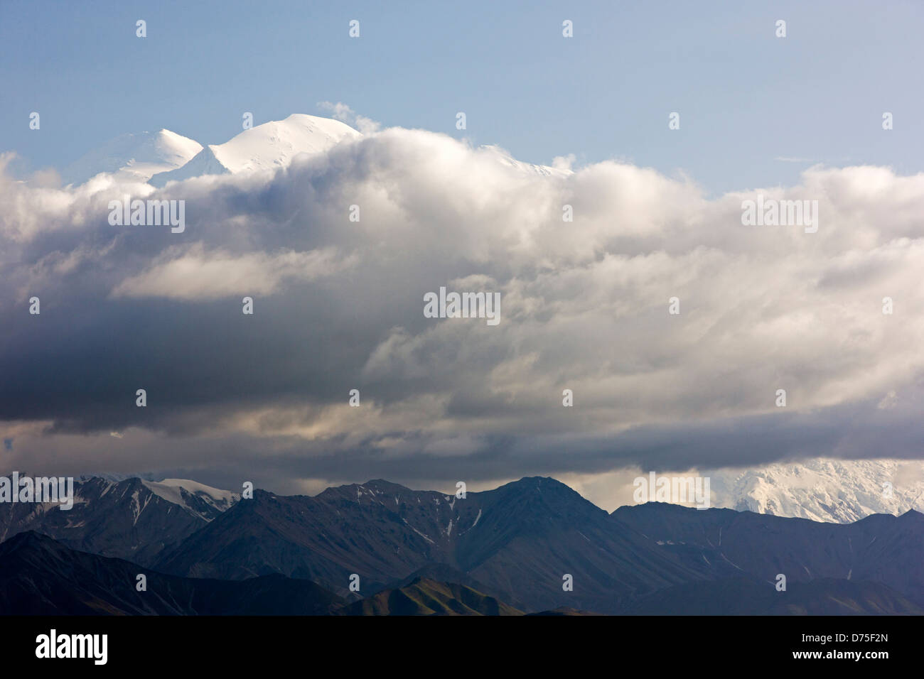 Mt. McKinley (Denali), massima pt N America (20,320 ') sopra le nuvole, Parco Nazionale di Denali, Alaska, STATI UNITI D'AMERICA Foto Stock