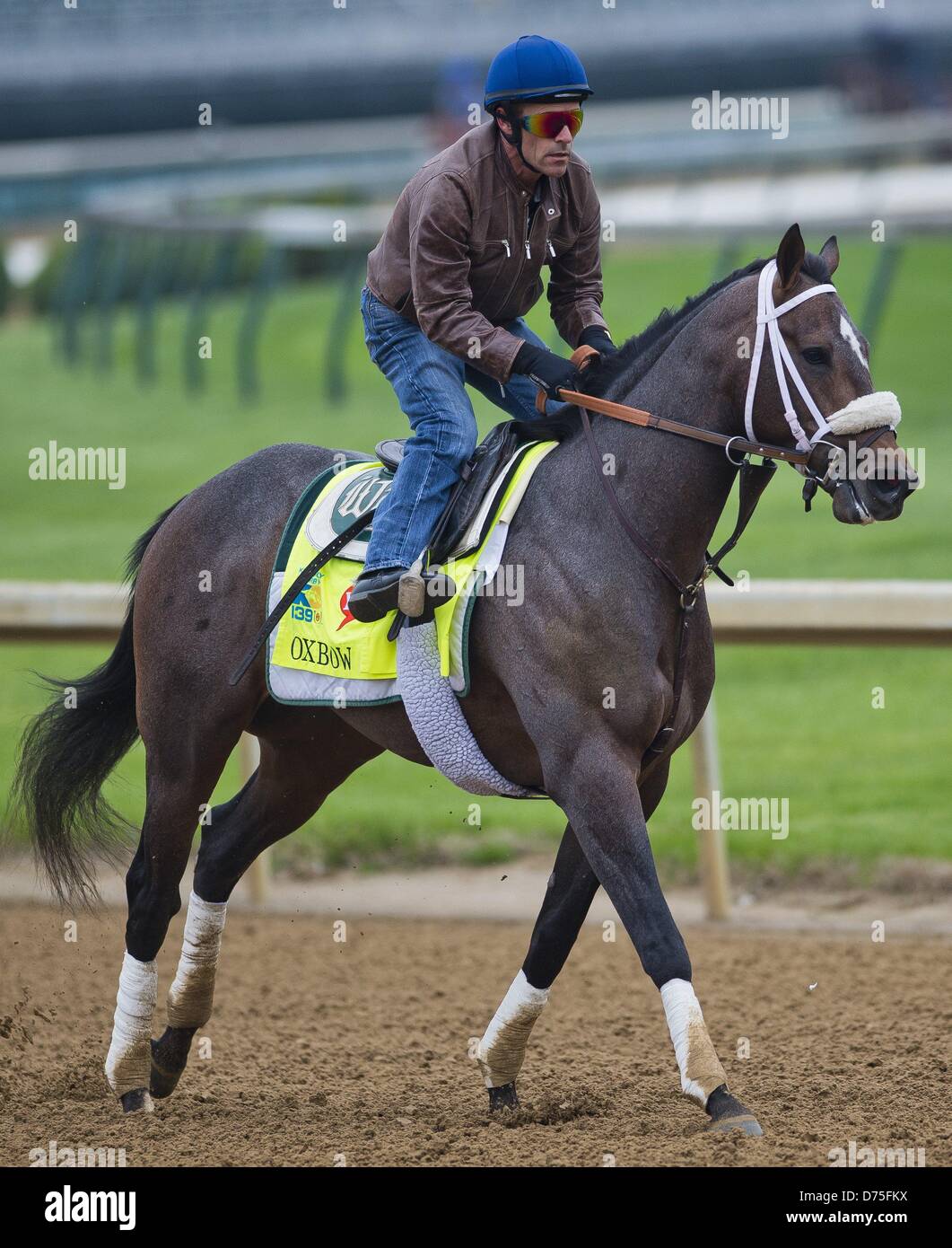 Aprile 29, 2013 - Louisville, Kentucky, Stati Uniti - Lanca, addestrati da D. Wayne Lukas, lavori in preparazione per il Kentucky Derby a Churchill Downs on April 29, 2013. (Credito Immagine: © Scott Serio/eclipse/ZUMAPRESS.com) Foto Stock