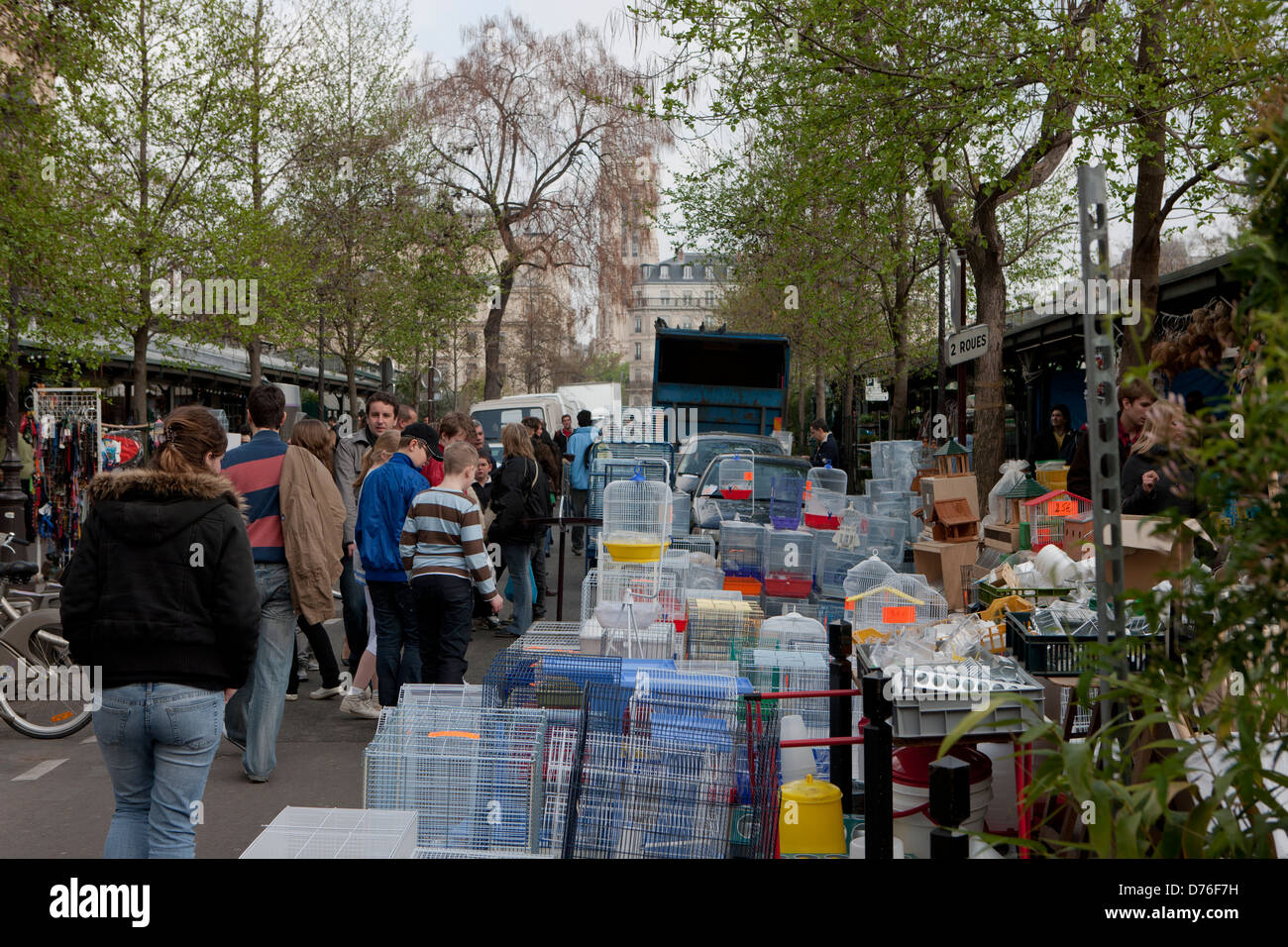 Parigi, la città isola, il mercato dei fiori, Ile de la Cité, Marché aux Fleurs, Francia Foto Stock