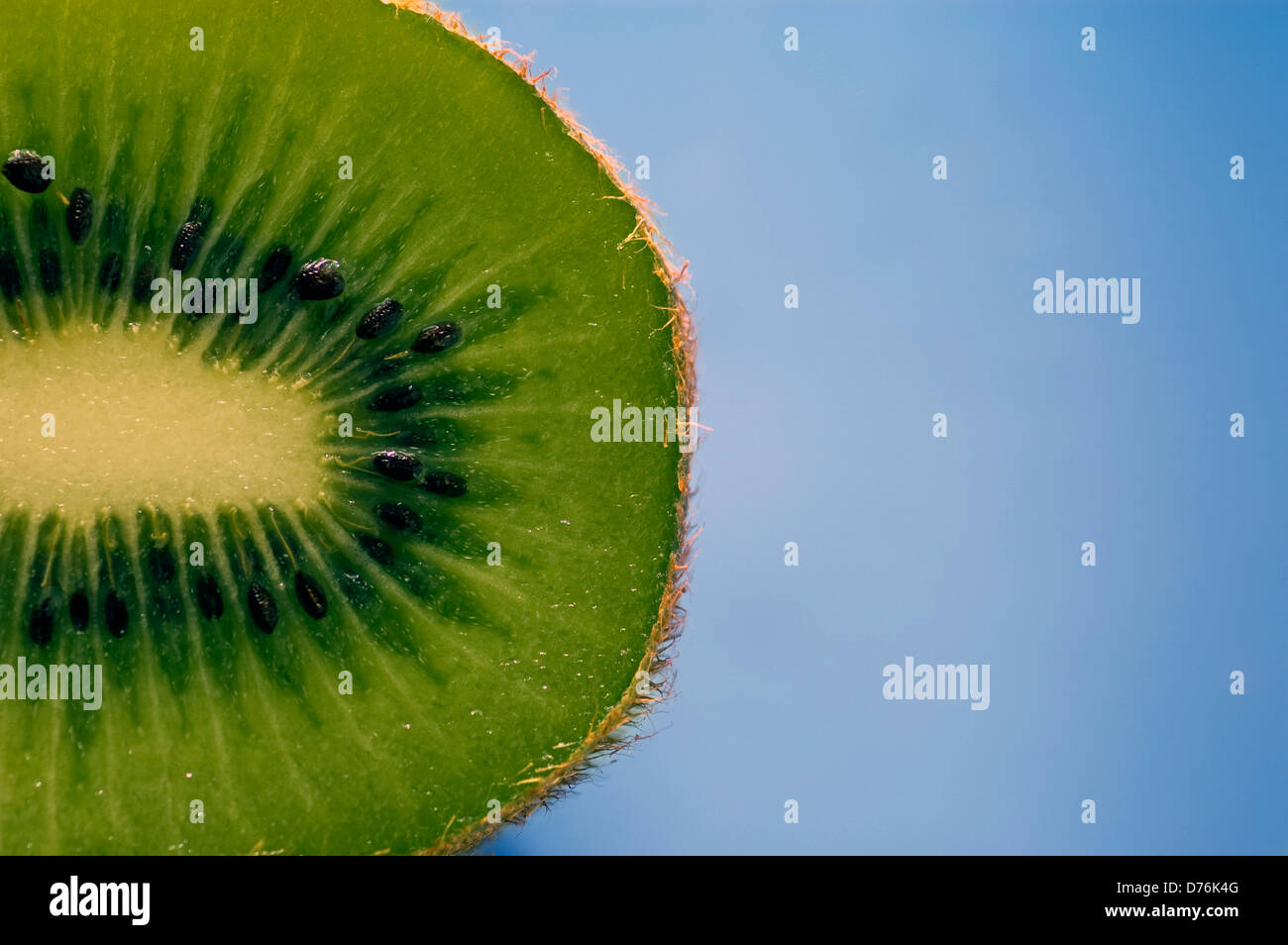 Organici di Kiwi tagliati a metà e fotografati con luce naturale per uso magazzino con uno sfondo blu. Foto Stock