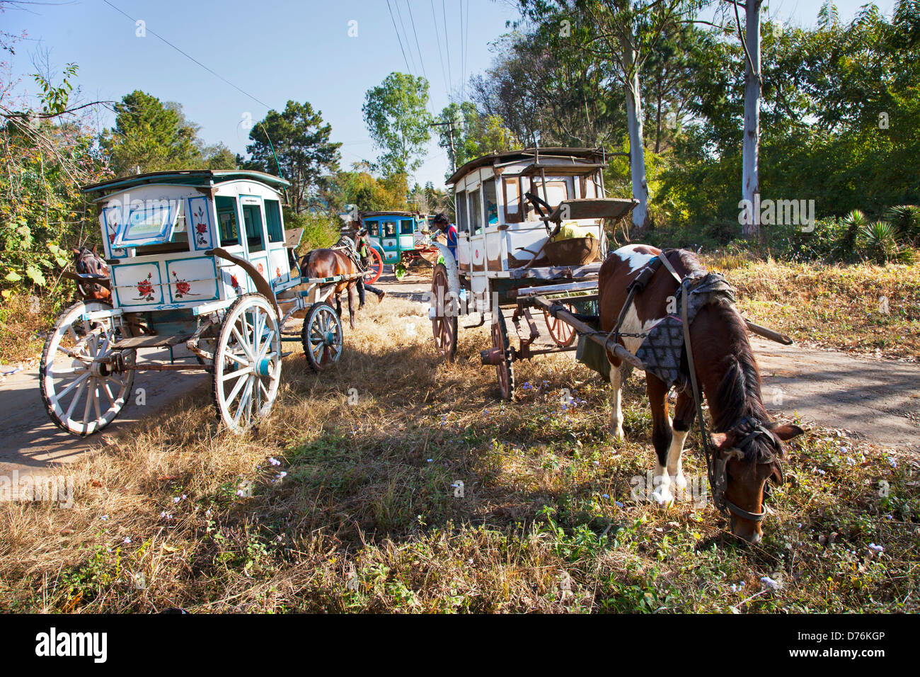 Cavallo e passeggini a Bagan, Myanmar Foto Stock